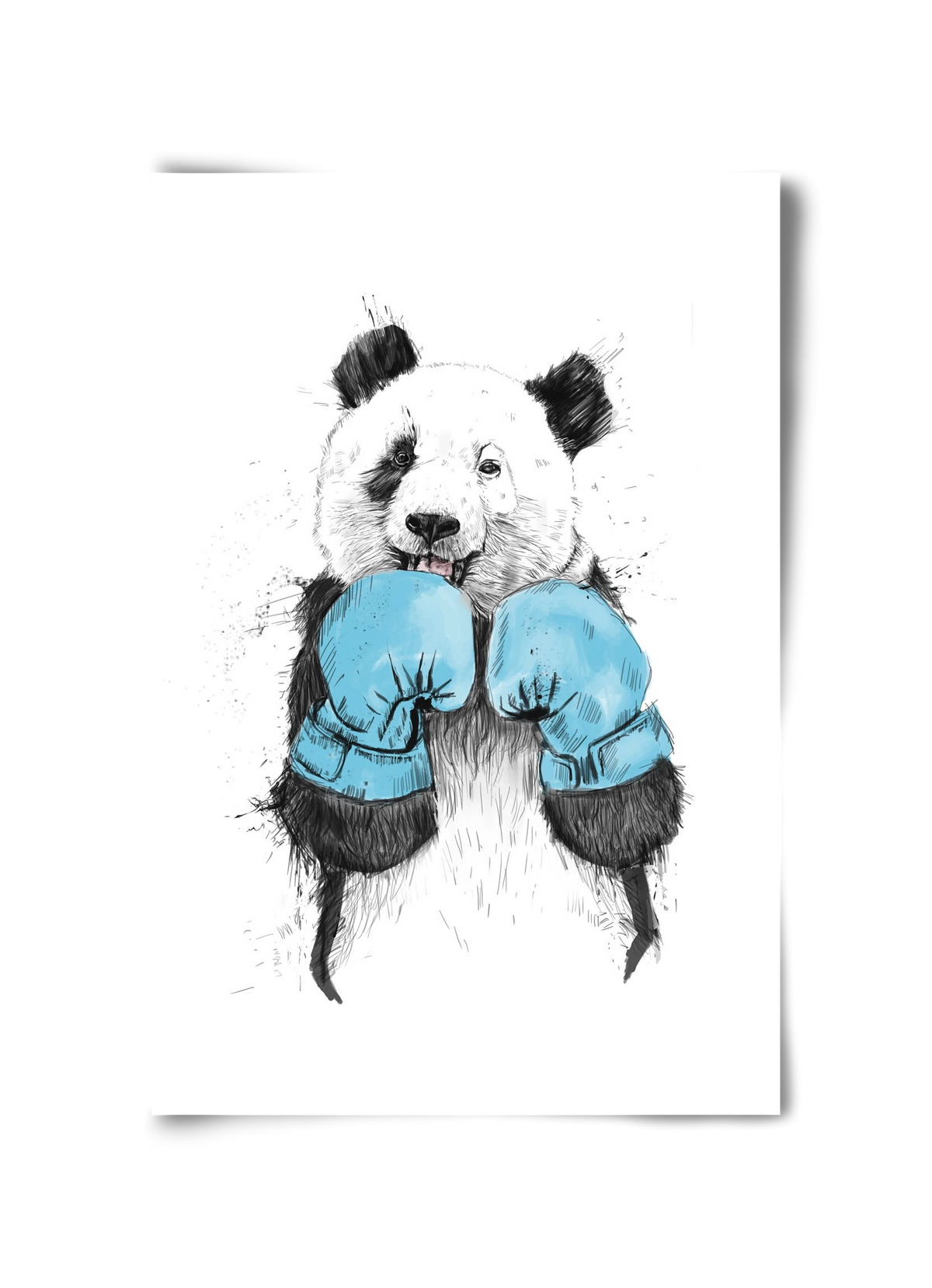 The winner, 30x45 cm, Keret nélkül