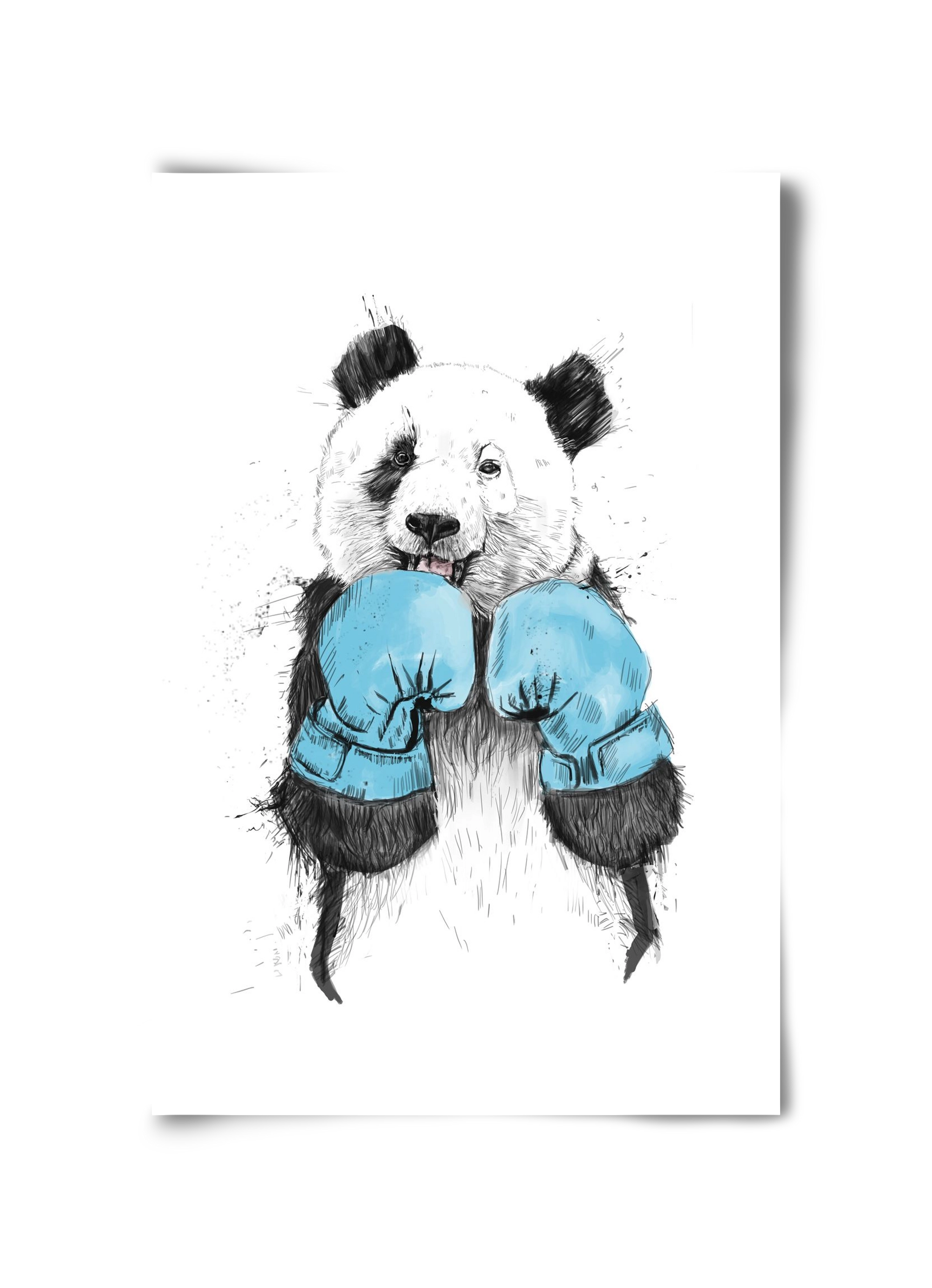 The winner, 30x45 cm, Keret nélkül