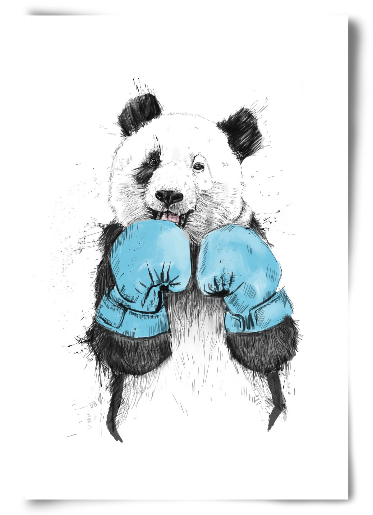 The winner, 60x90 cm, Keret nélkül