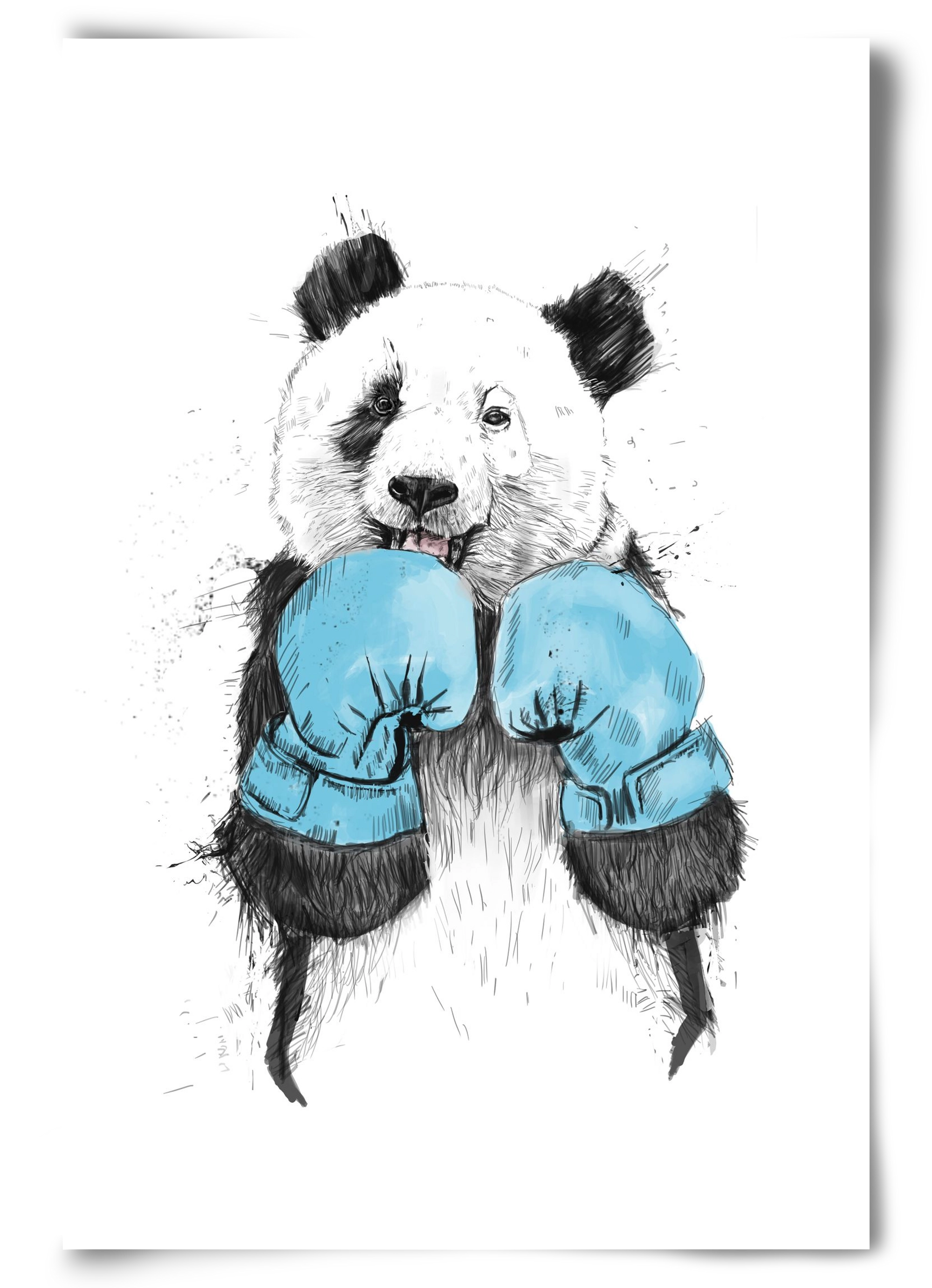 The winner, 60x90 cm, Keret nélkül