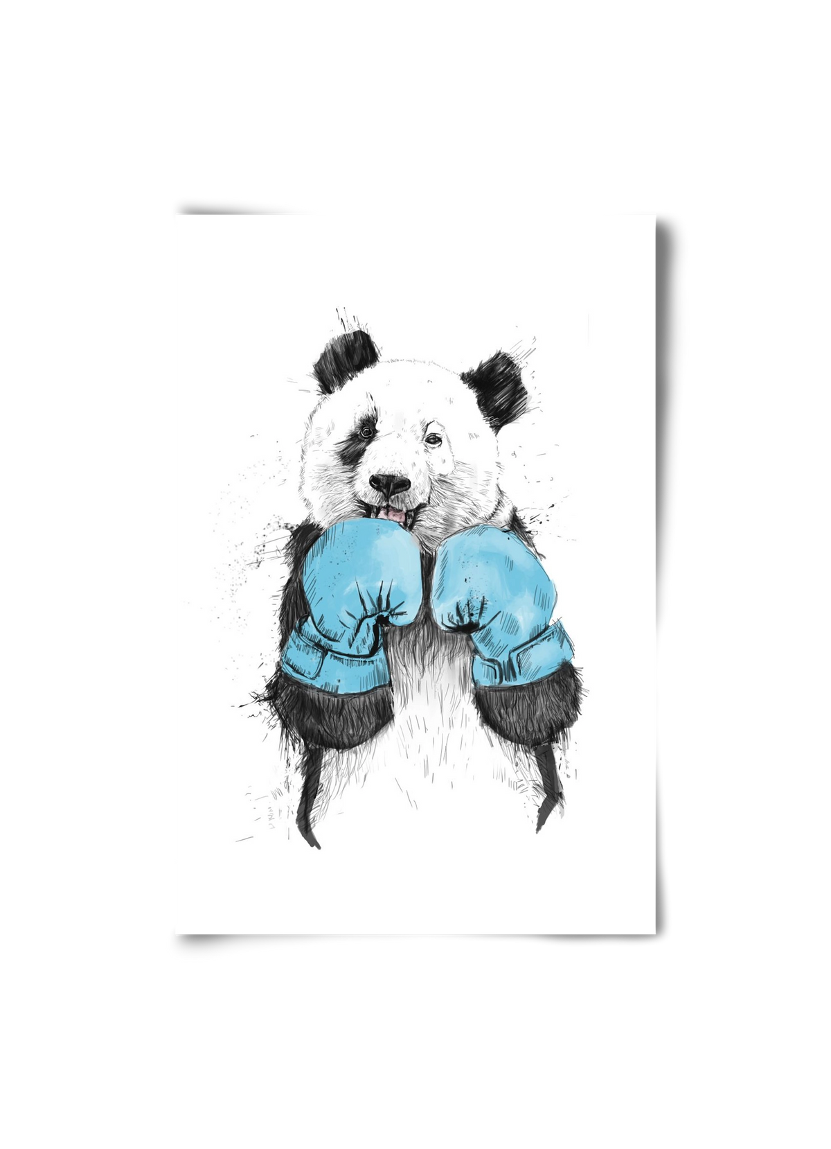 The winner, 20x30 cm, Keret nélkül