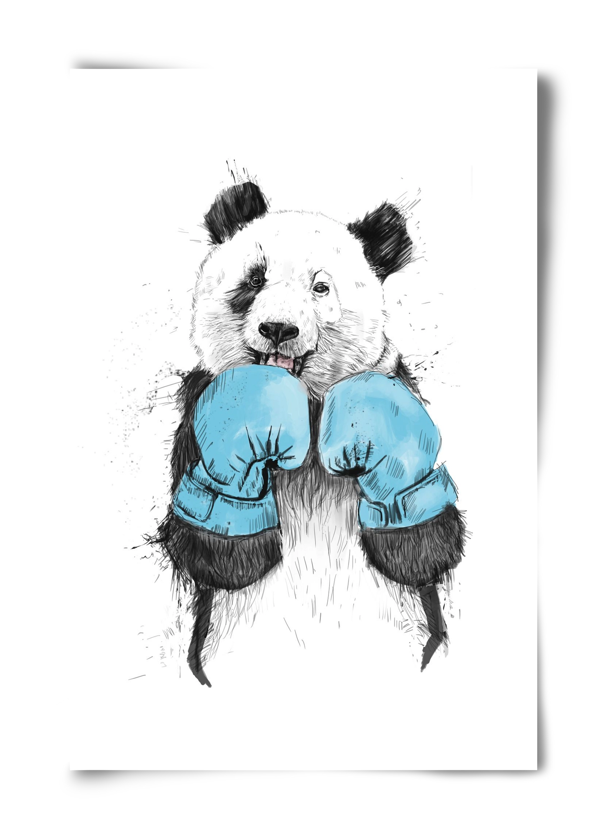 The winner, 40x60 cm, Keret nélkül