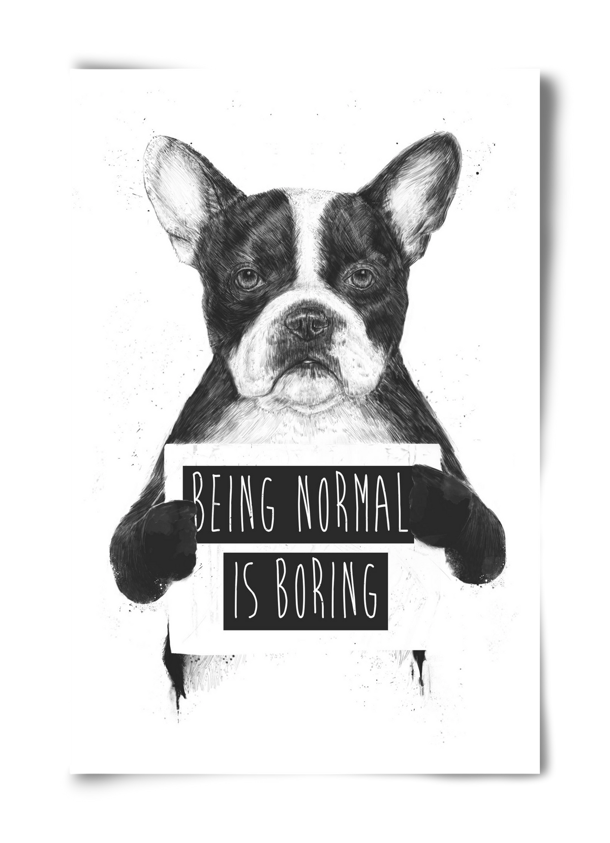 Being normal is boring, 40x60 cm, Keret nélkül