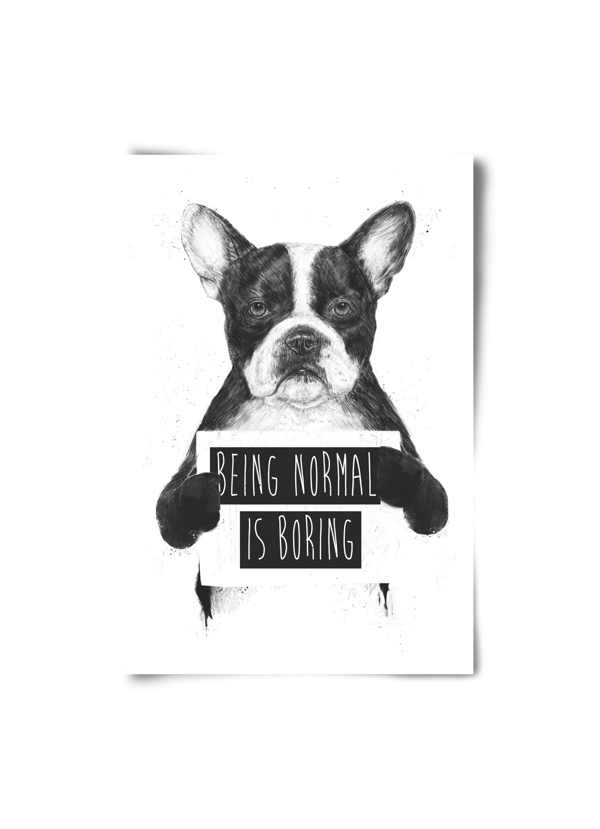 Being normal is boring, 20x30 cm, Keret nélkül