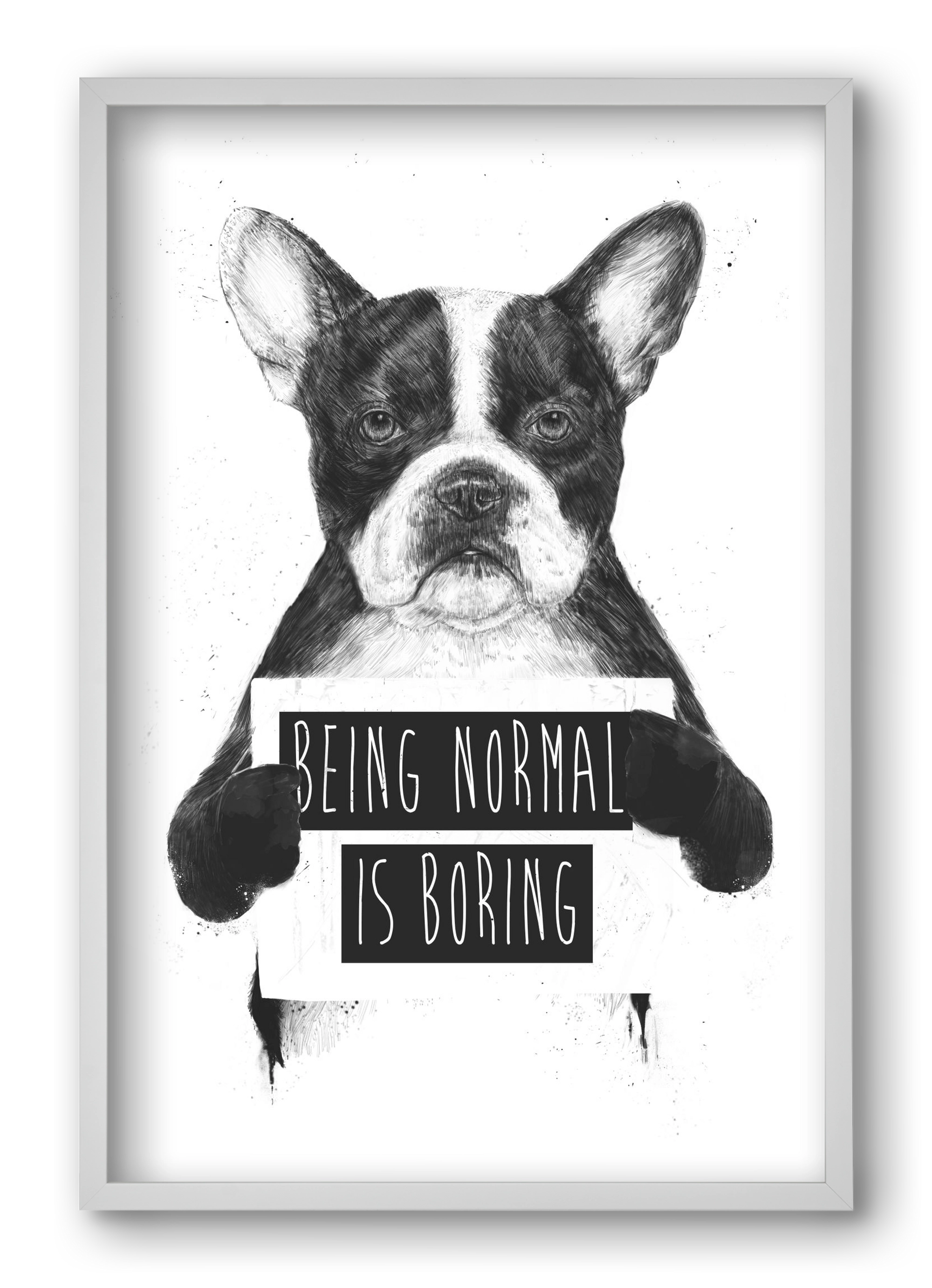 Being normal is boring, 40x60 cm (40x60 cm), Fehér keret