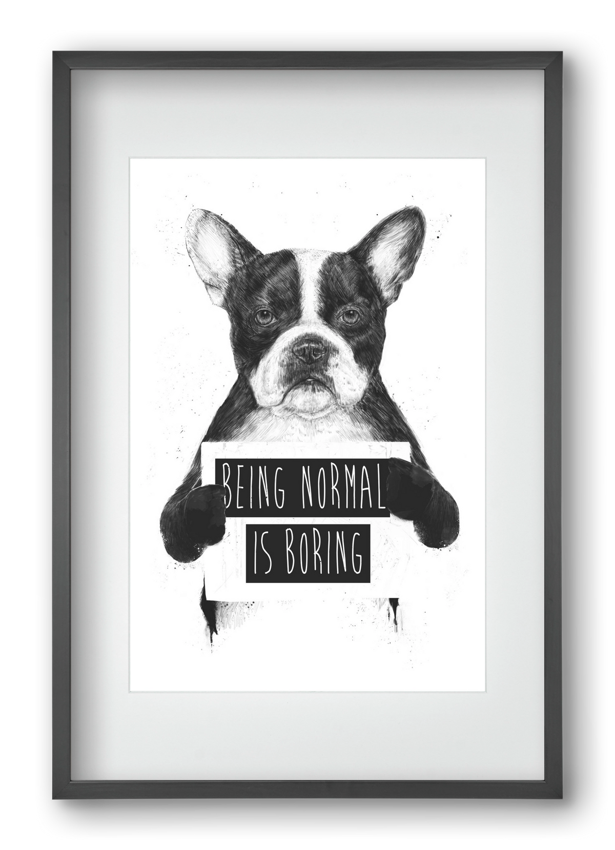 Being normal is boring, 40x60 cm (30x45 cm), Fekete keret, paszpartuval