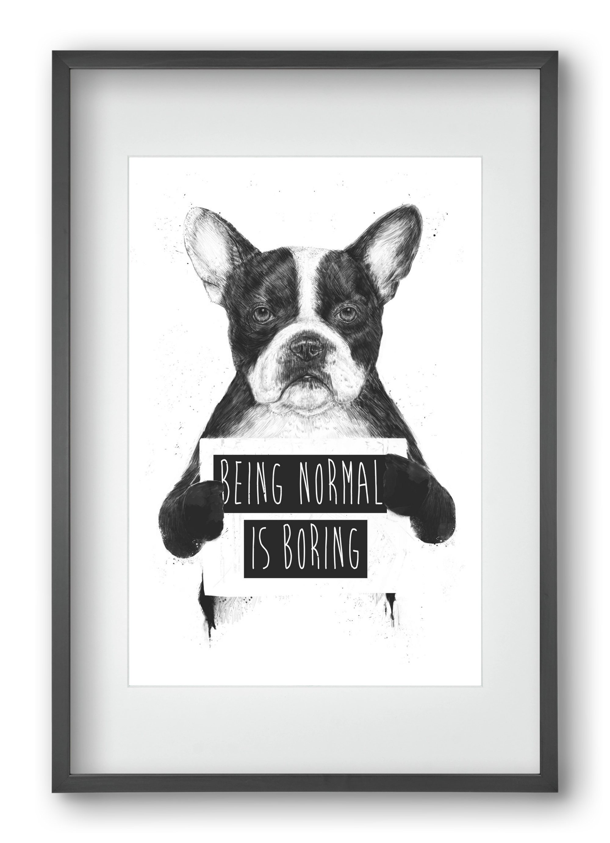 Being normal is boring, 40x60 cm (30x45 cm), Fekete keret, paszpartuval