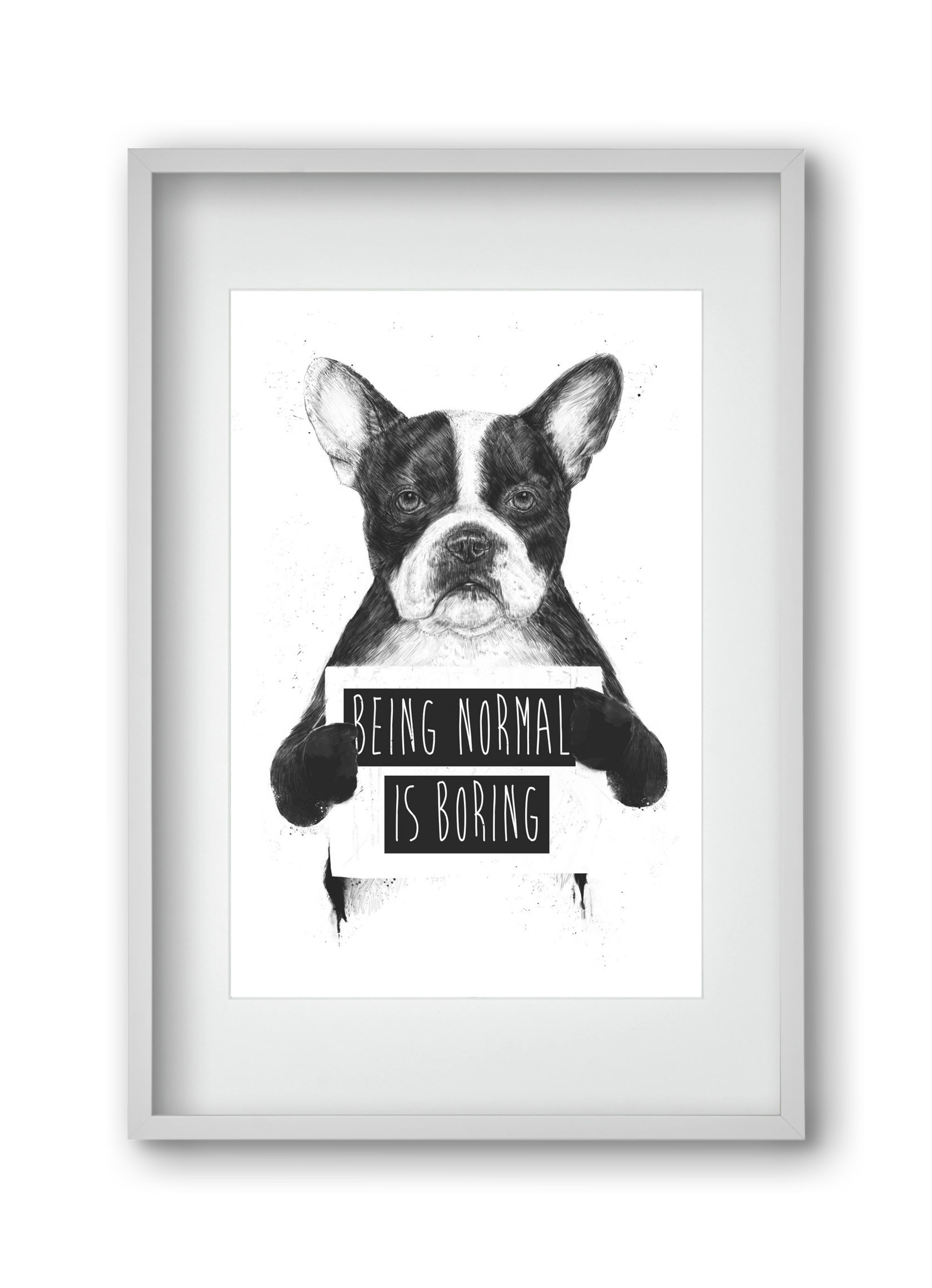 Being normal is boring, 30x45 cm (20x30 cm), Fehér keret, paszpartuval