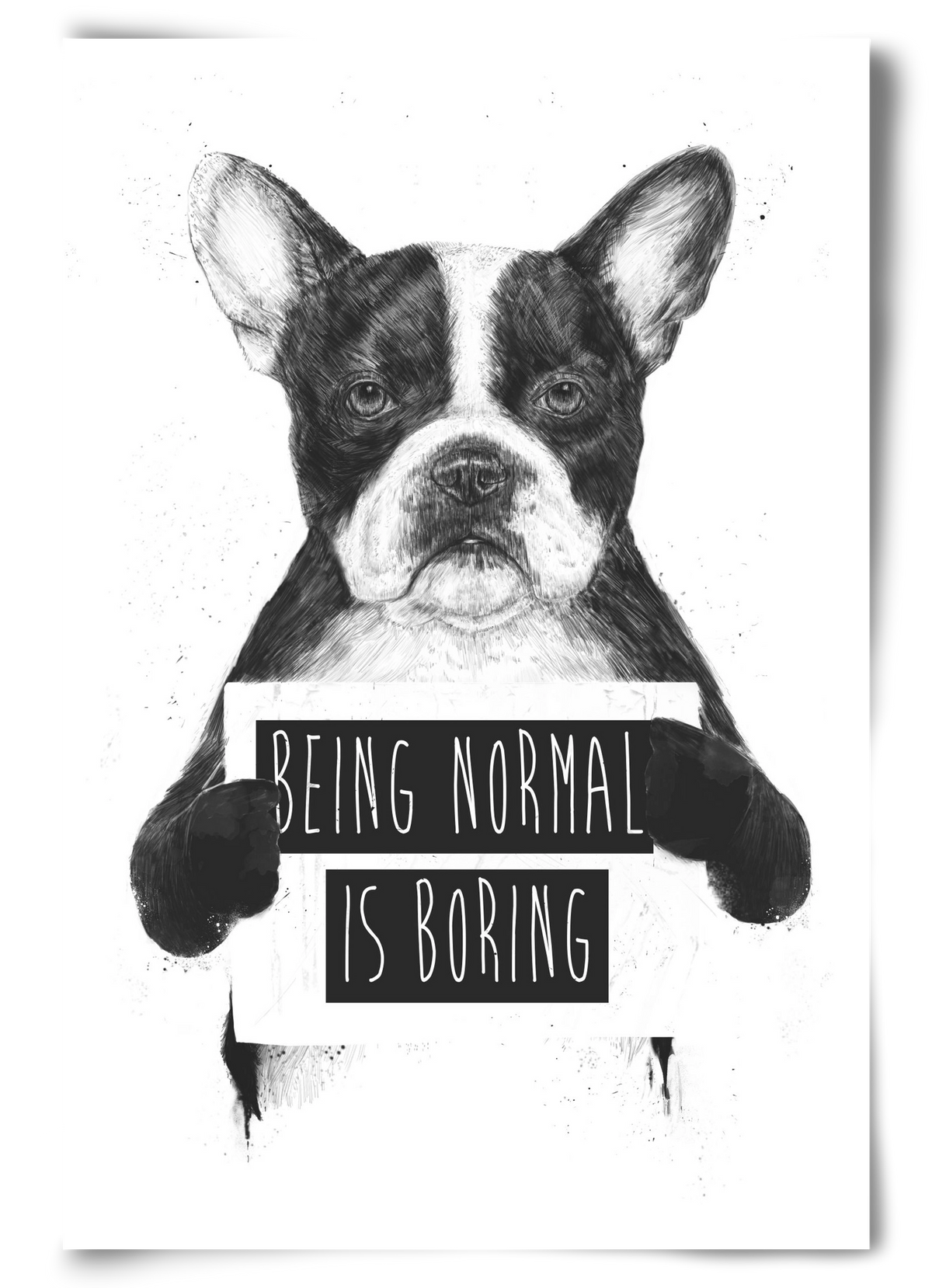 Being normal is boring, 60x90 cm, Keret nélkül