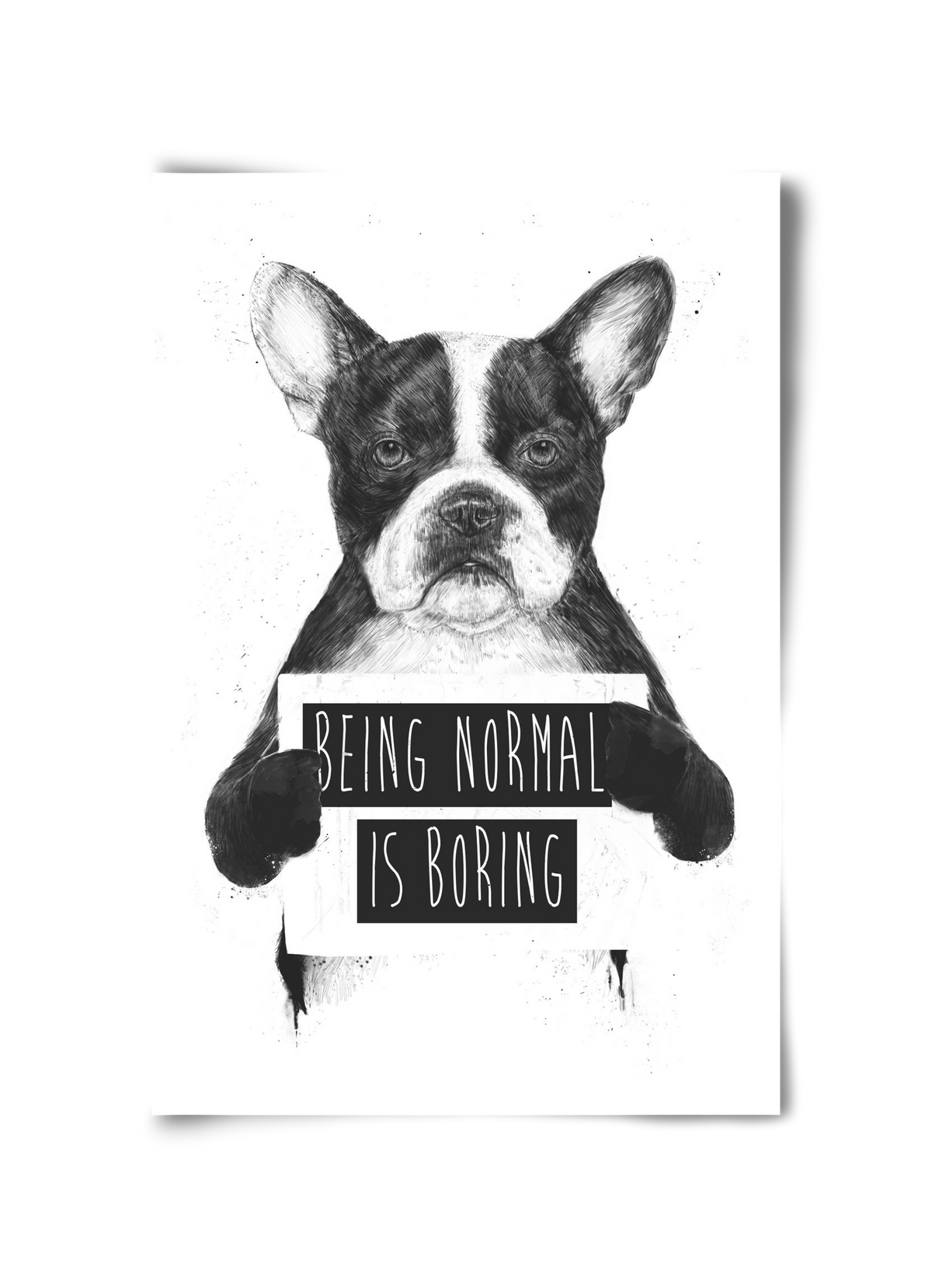 Being normal is boring, 30x45 cm, Keret nélkül