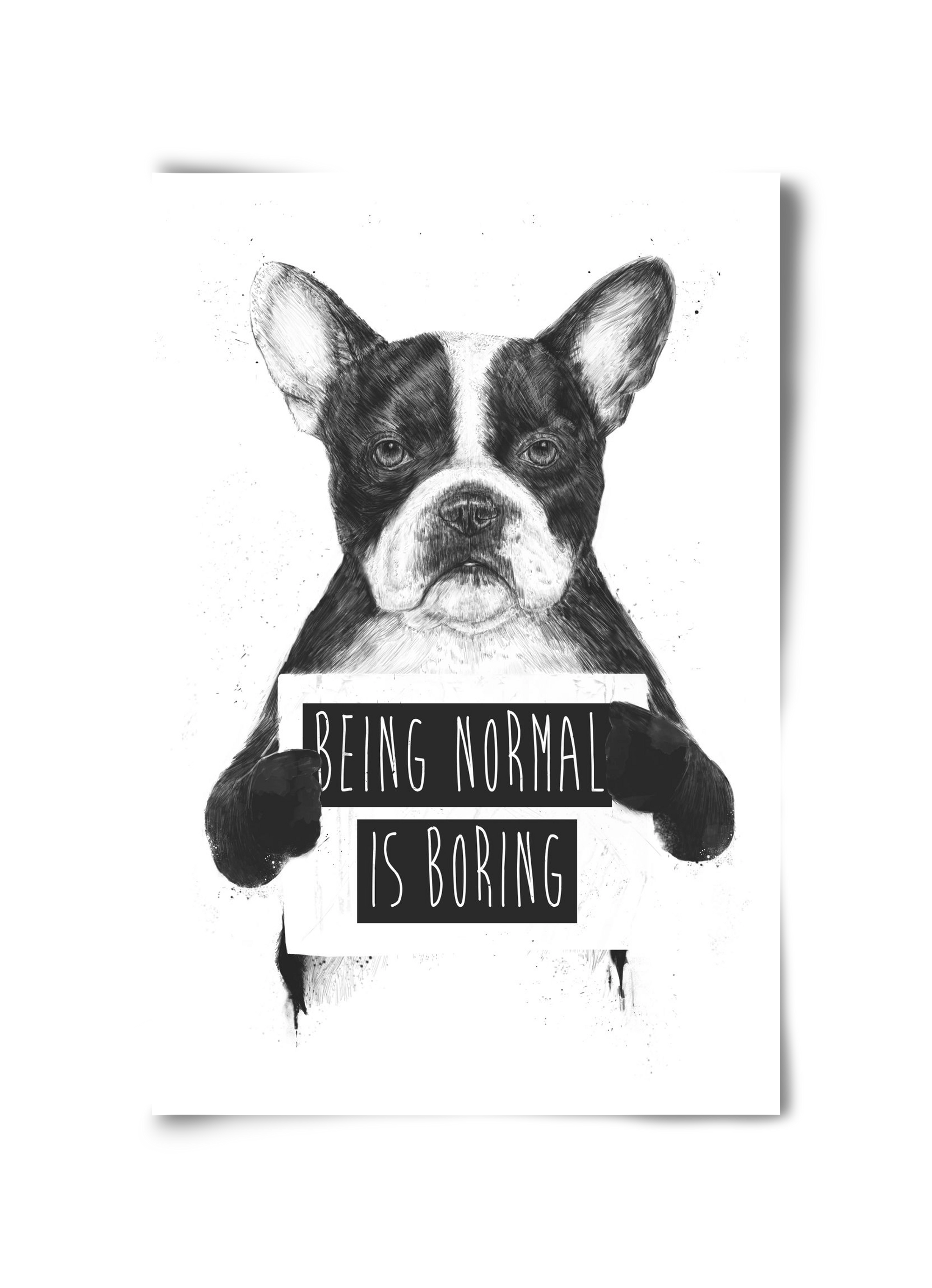 Being normal is boring, 30x45 cm, Keret nélkül