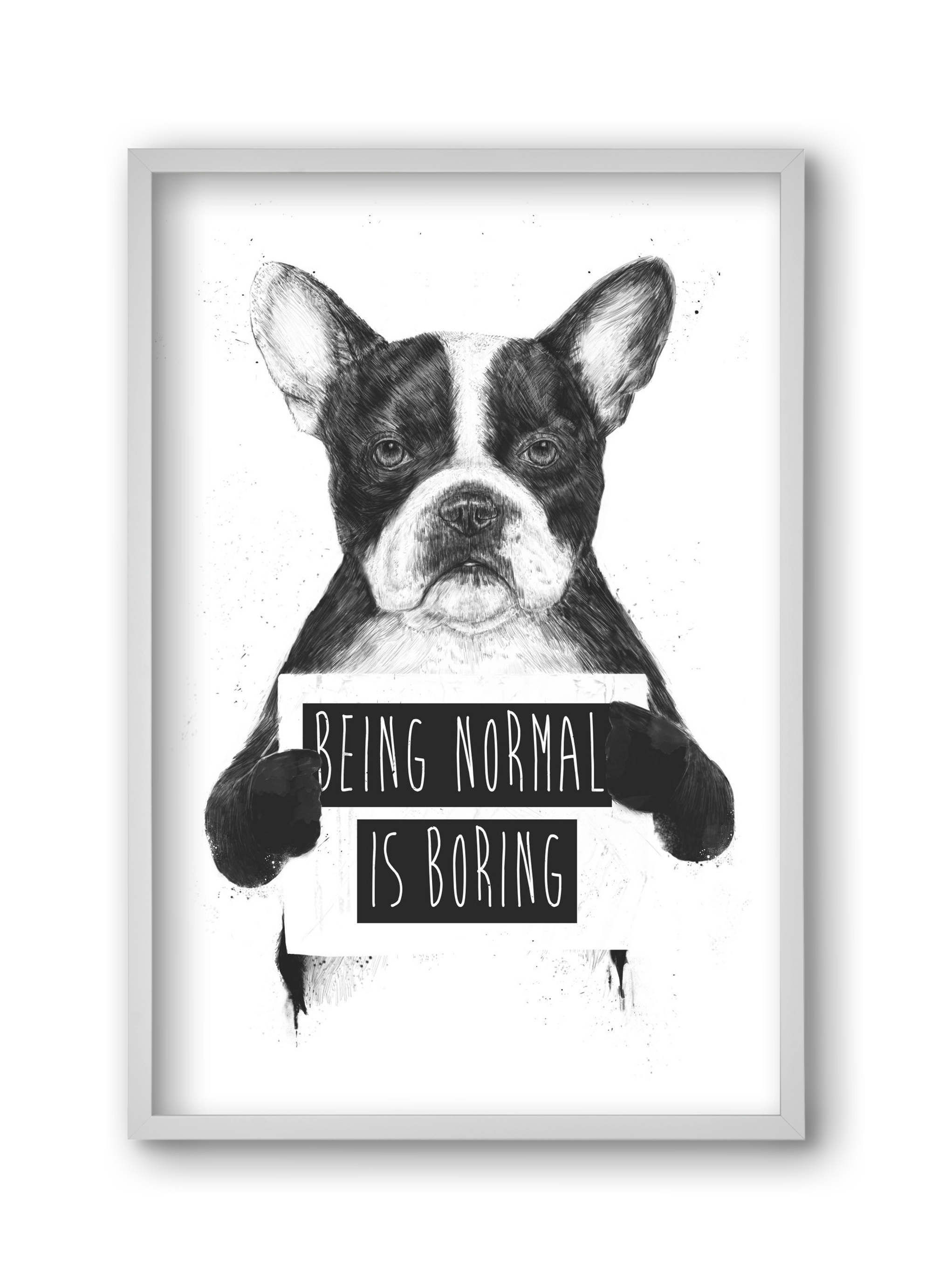 Being normal is boring, 30x45 cm (30x45 cm), Fehér keret