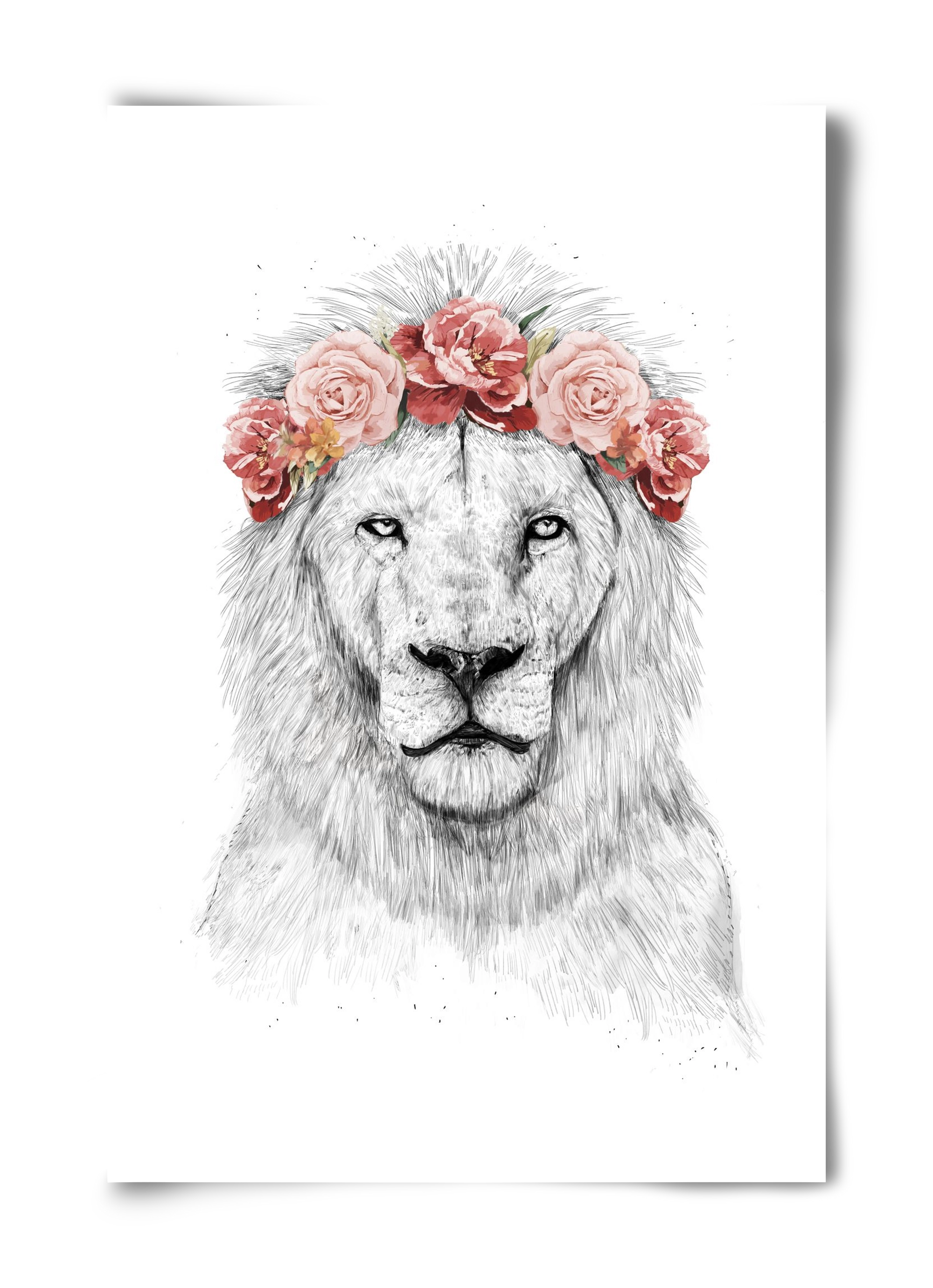 Festival lion, 40x60 cm, Keret nélkül