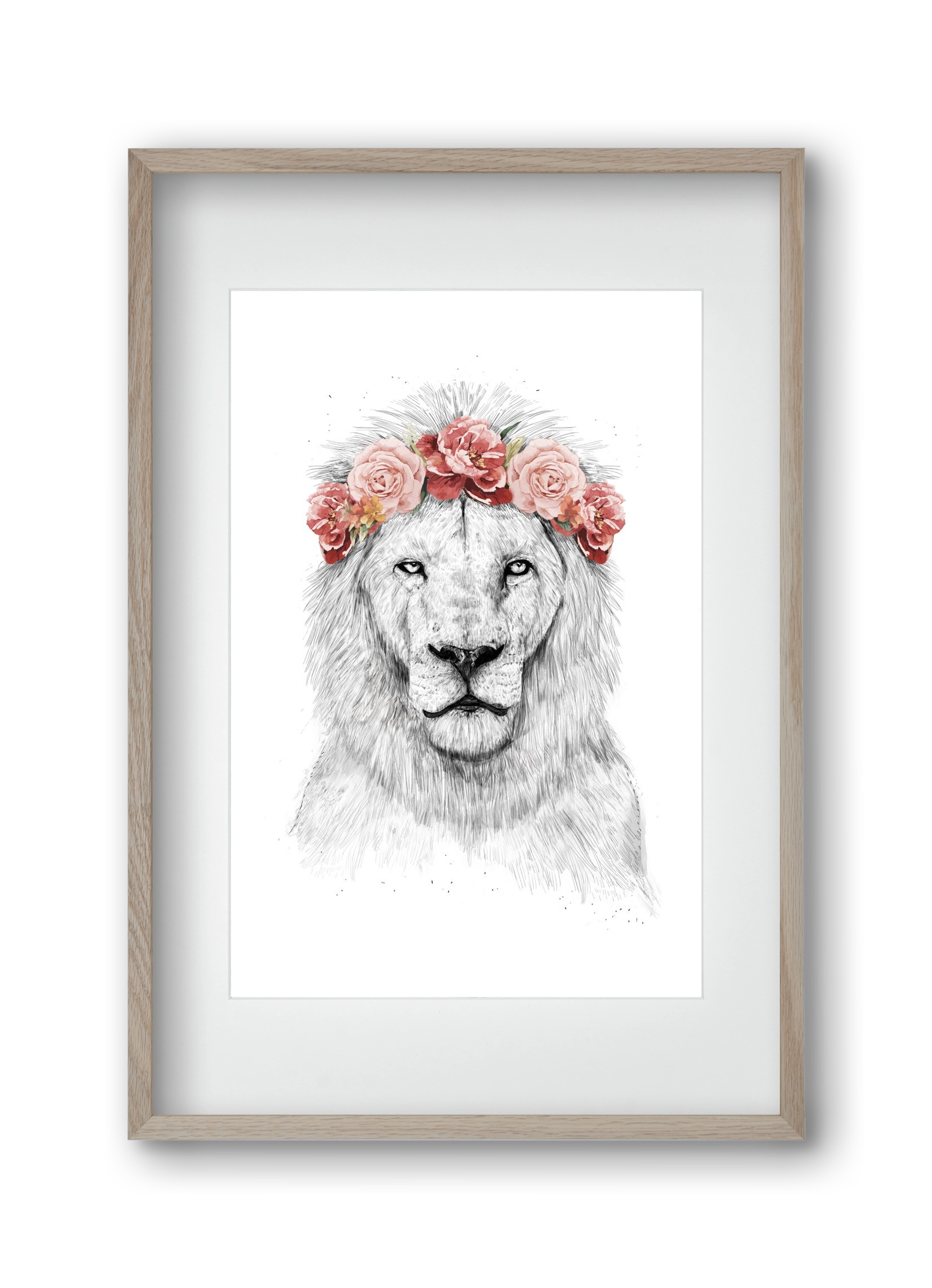 Festival lion, 30x45 cm (20x30 cm), Tölgy keret, paszpartuval