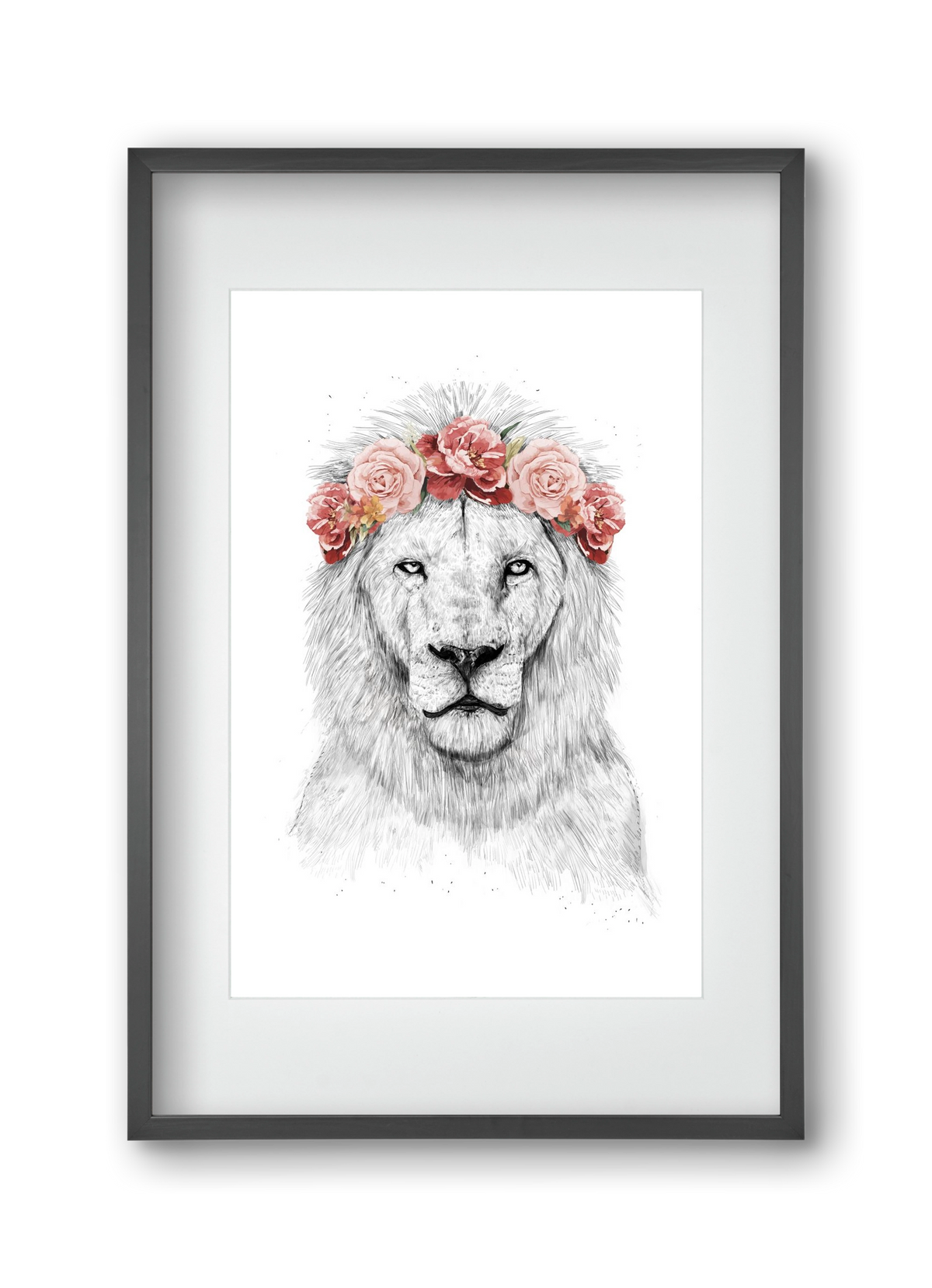 Festival lion, 30x45 cm (20x30 cm), Fekete keret, paszpartuval