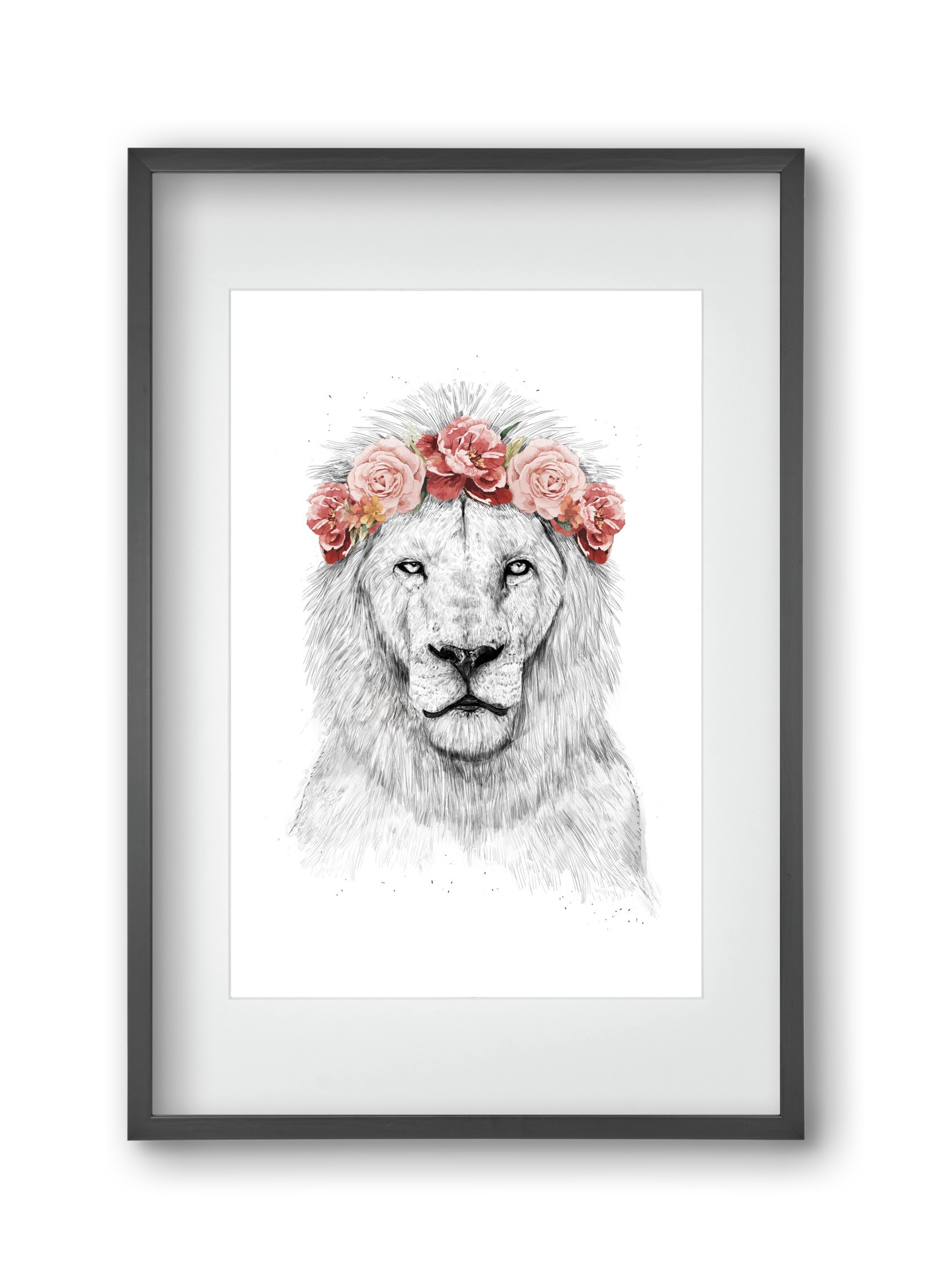 Festival lion, 30x45 cm (20x30 cm), Fekete keret, paszpartuval
