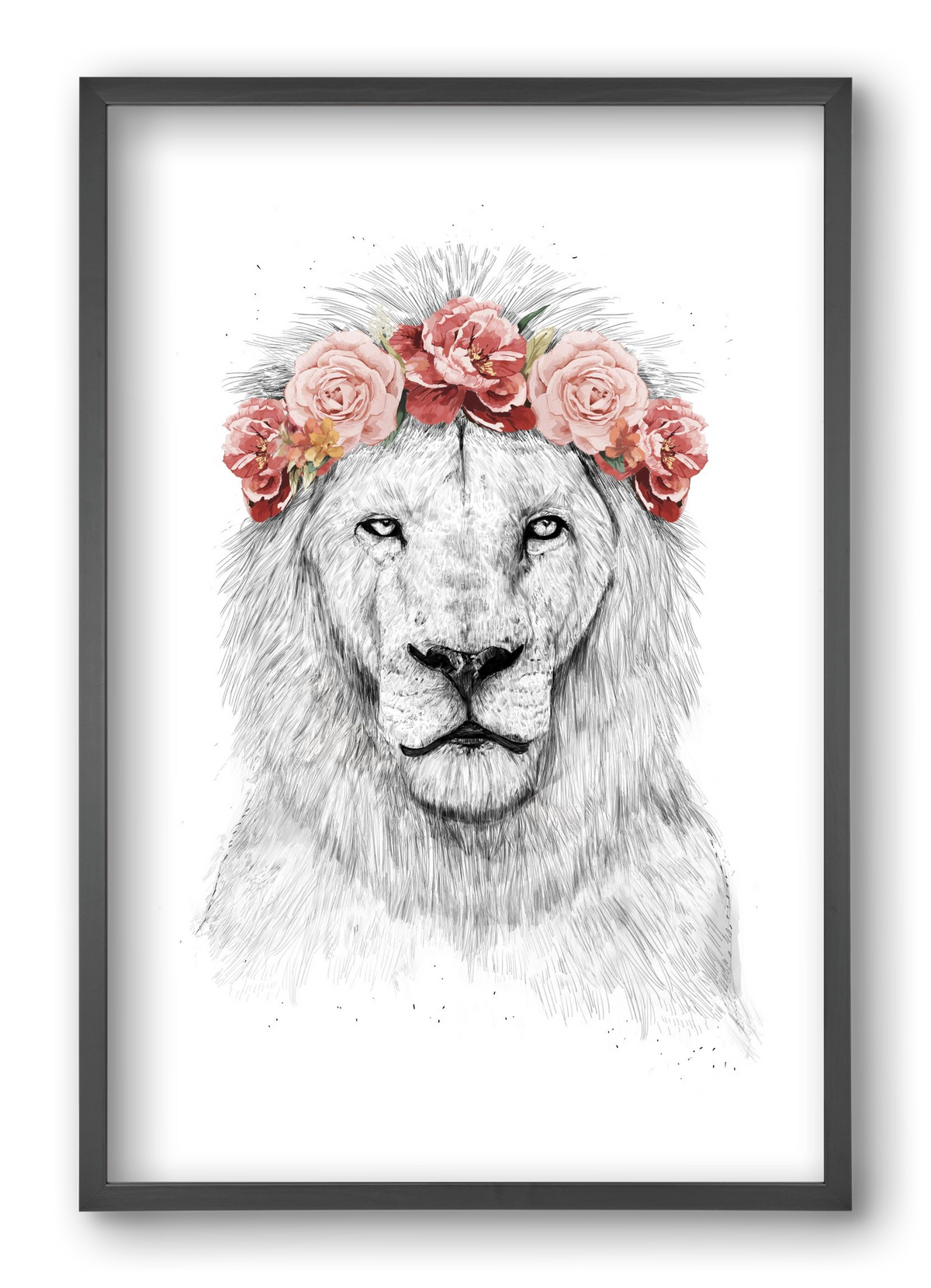 Festival lion, 40x60 cm (40x60 cm), Fekete keret
