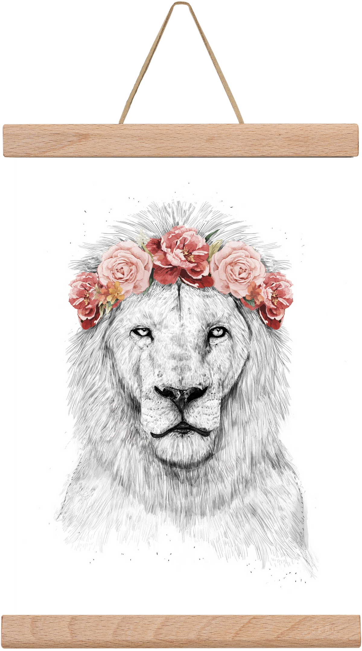 Festival lion, 20x30 cm (20x30 cm), Tölgy akasztó