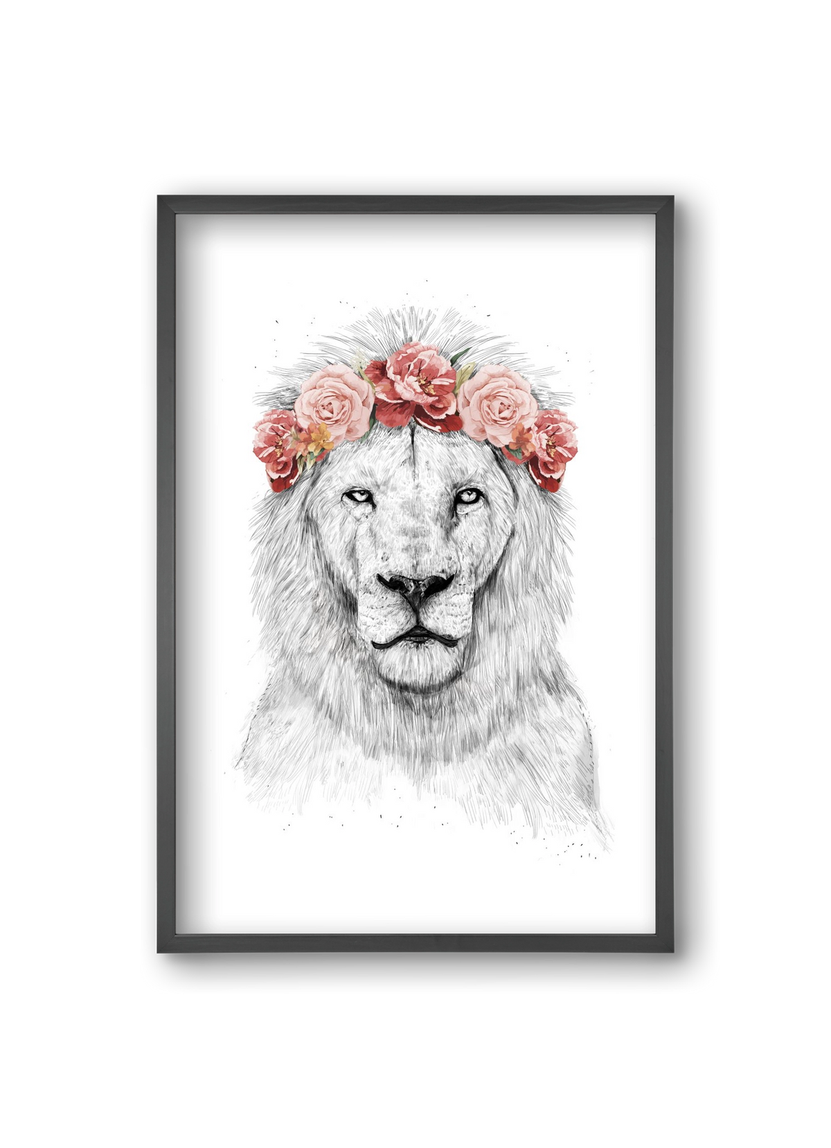 Festival lion, 20x30 cm (20x30 cm), Fekete keret
