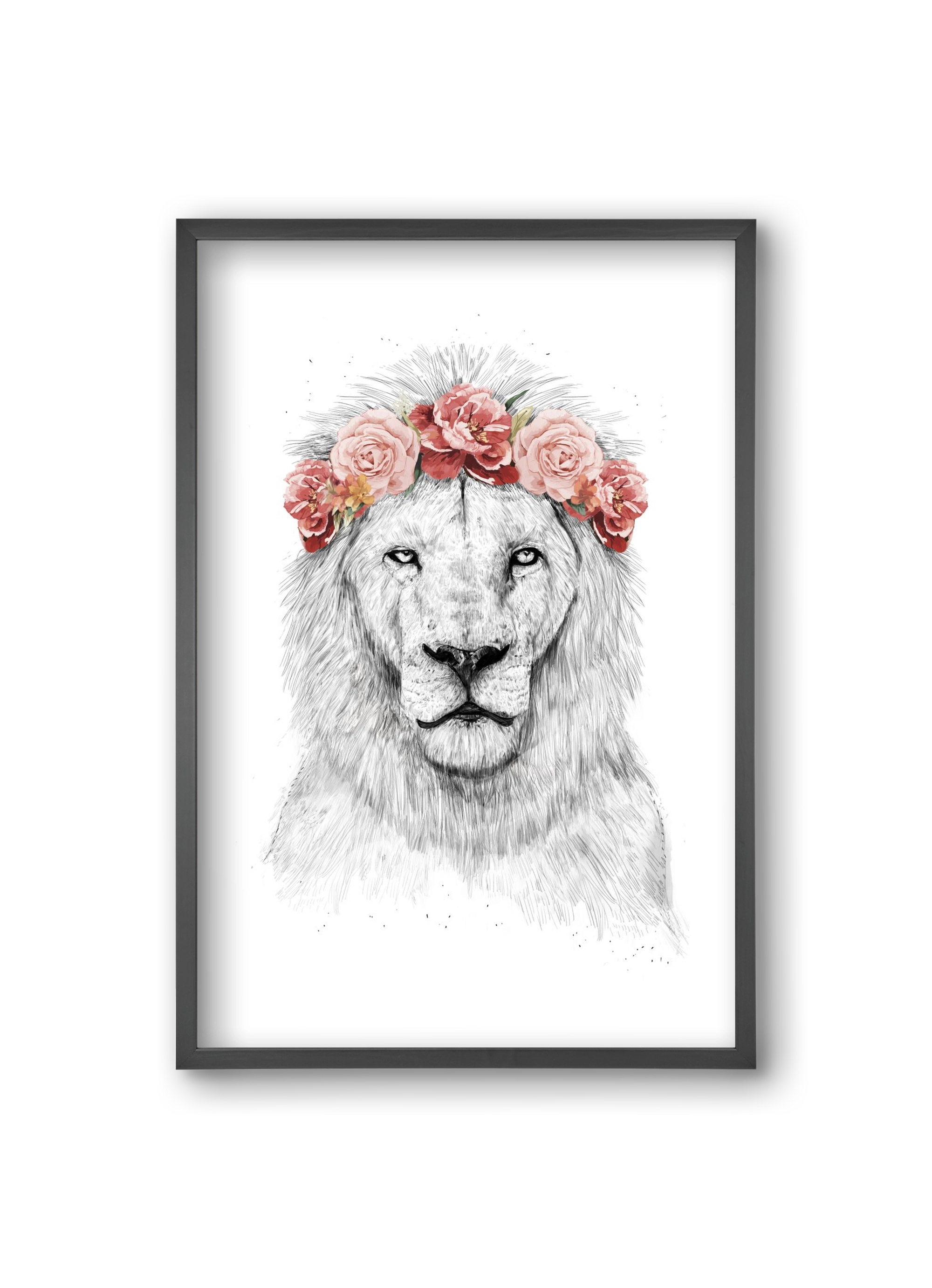 Festival lion, 20x30 cm (20x30 cm), Fekete keret