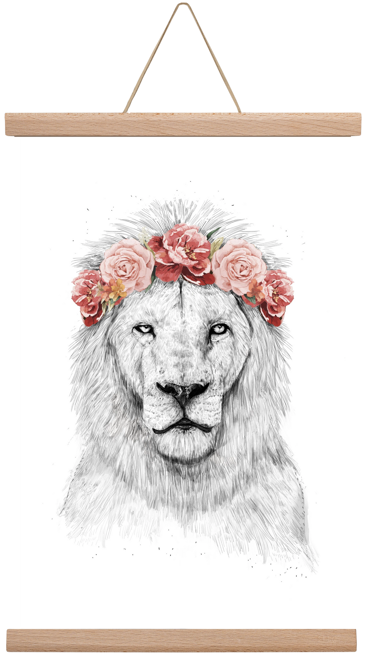 Festival lion, 30x45 cm (30x45 cm), Tölgy akasztó