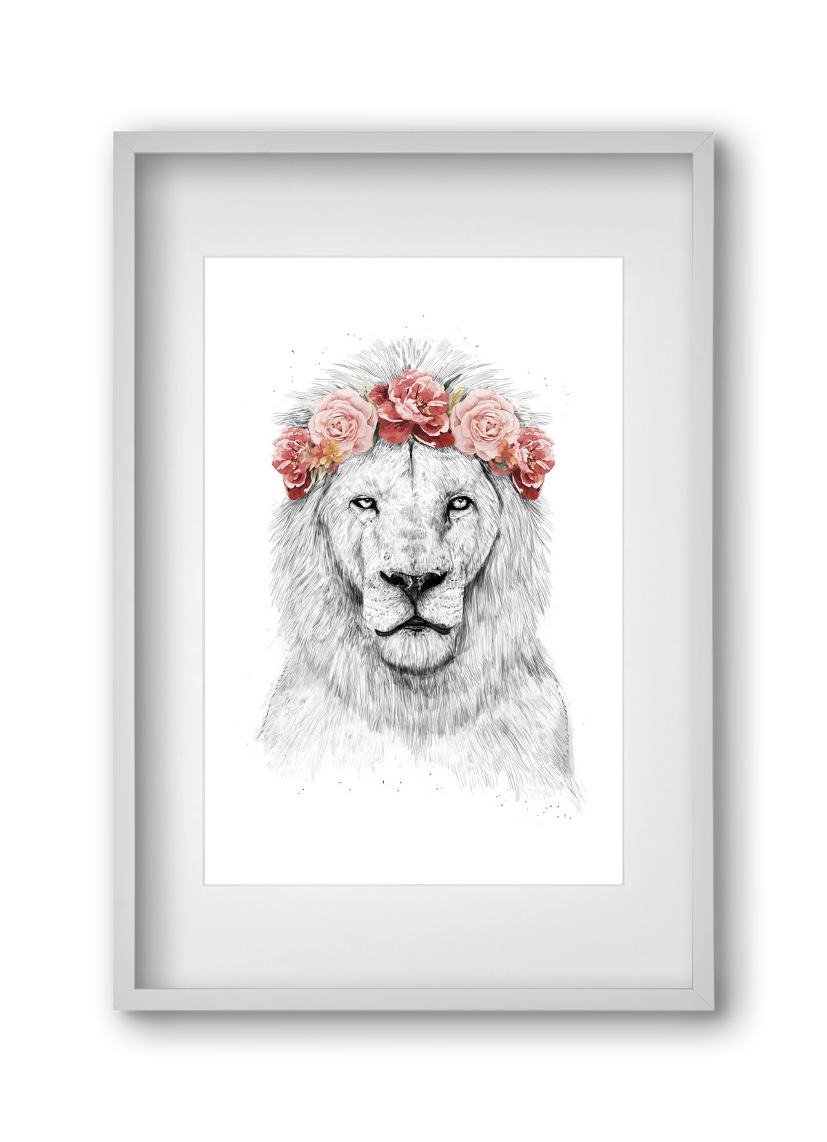 Festival lion, 30x45 cm (20x30 cm), Fehér keret, paszpartuval