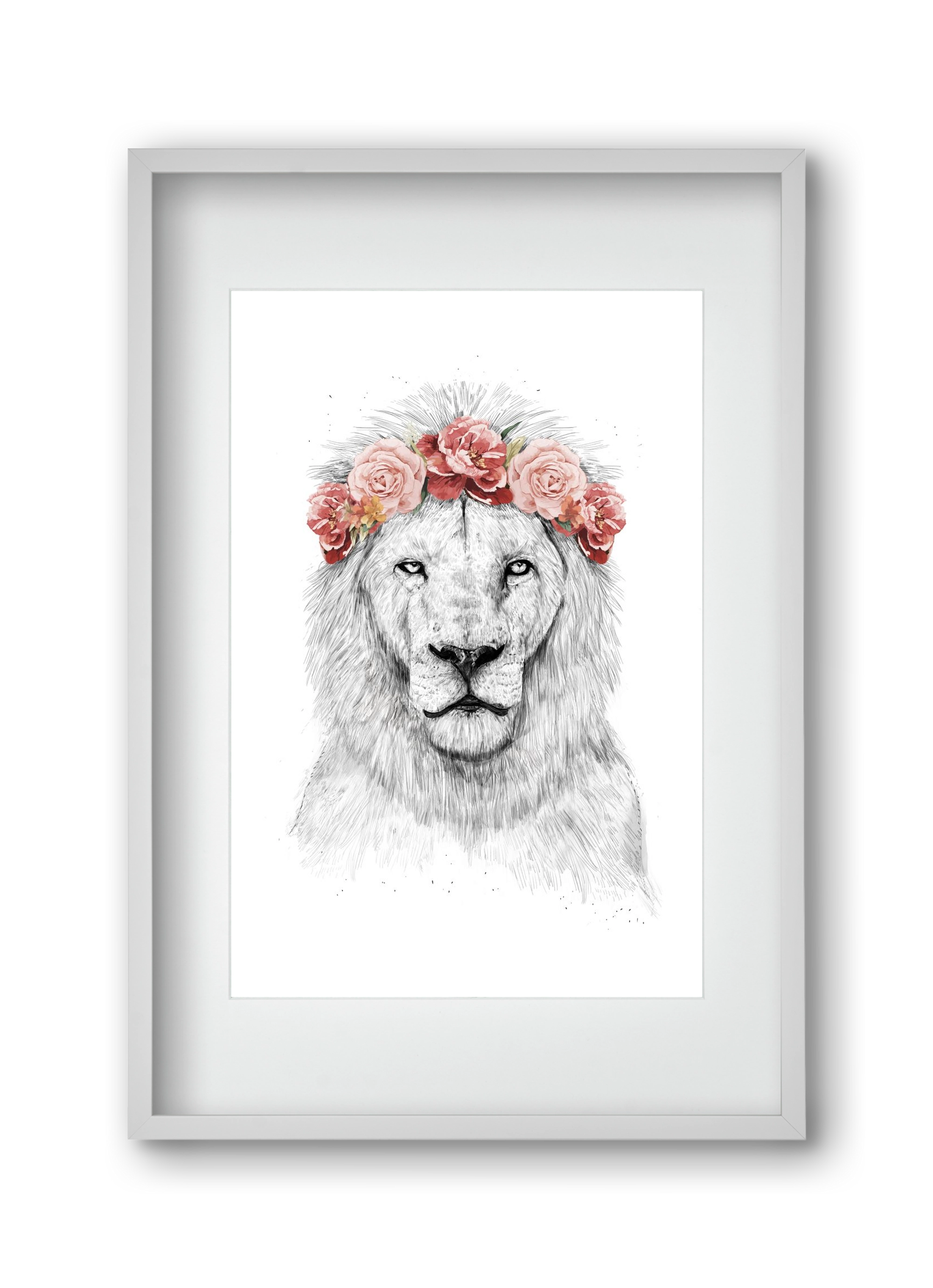 Festival lion, 30x45 cm (20x30 cm), Fehér keret, paszpartuval