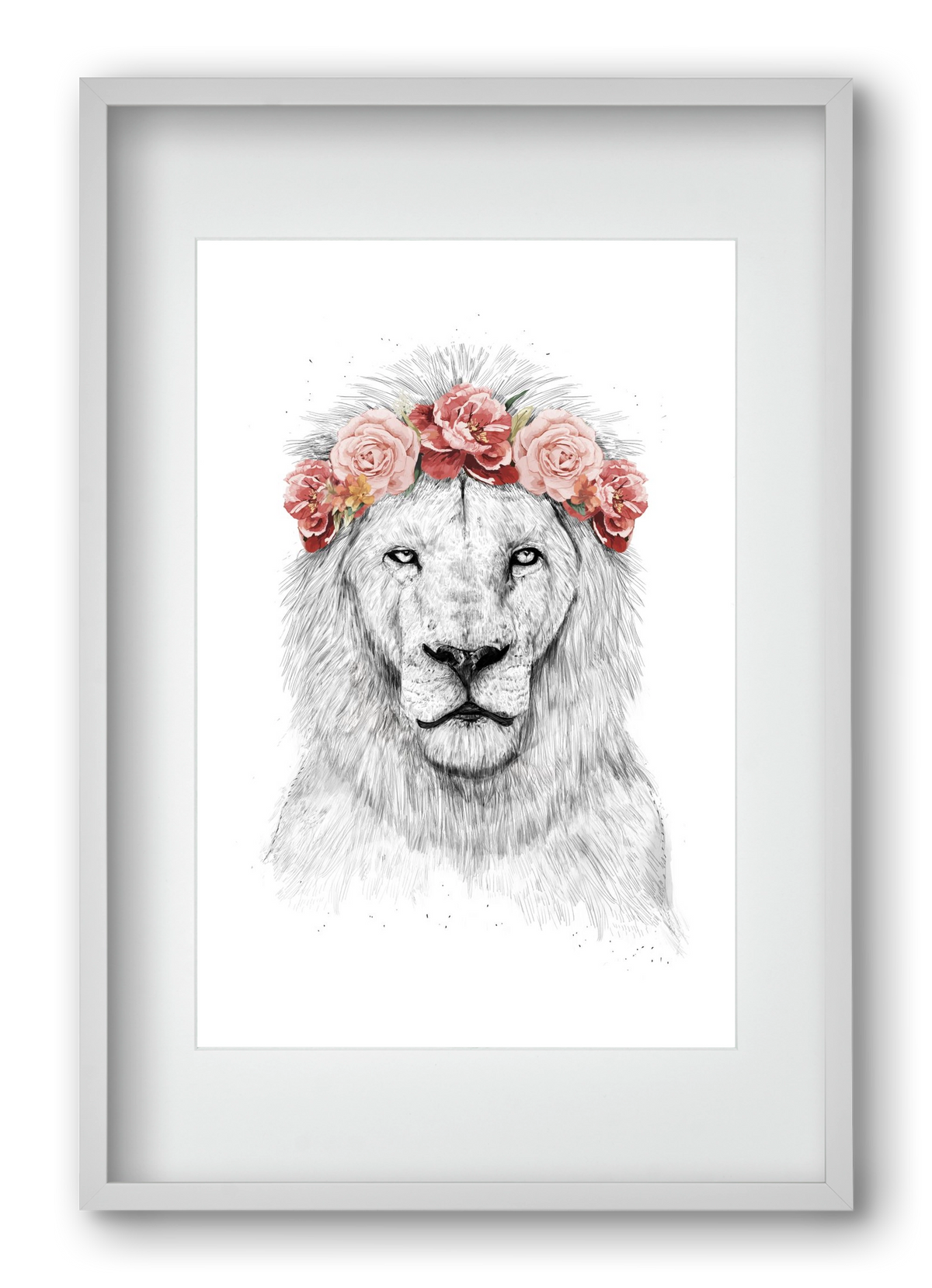 Festival lion, 40x60 cm (30x45 cm), Fehér keret, paszpartuval
