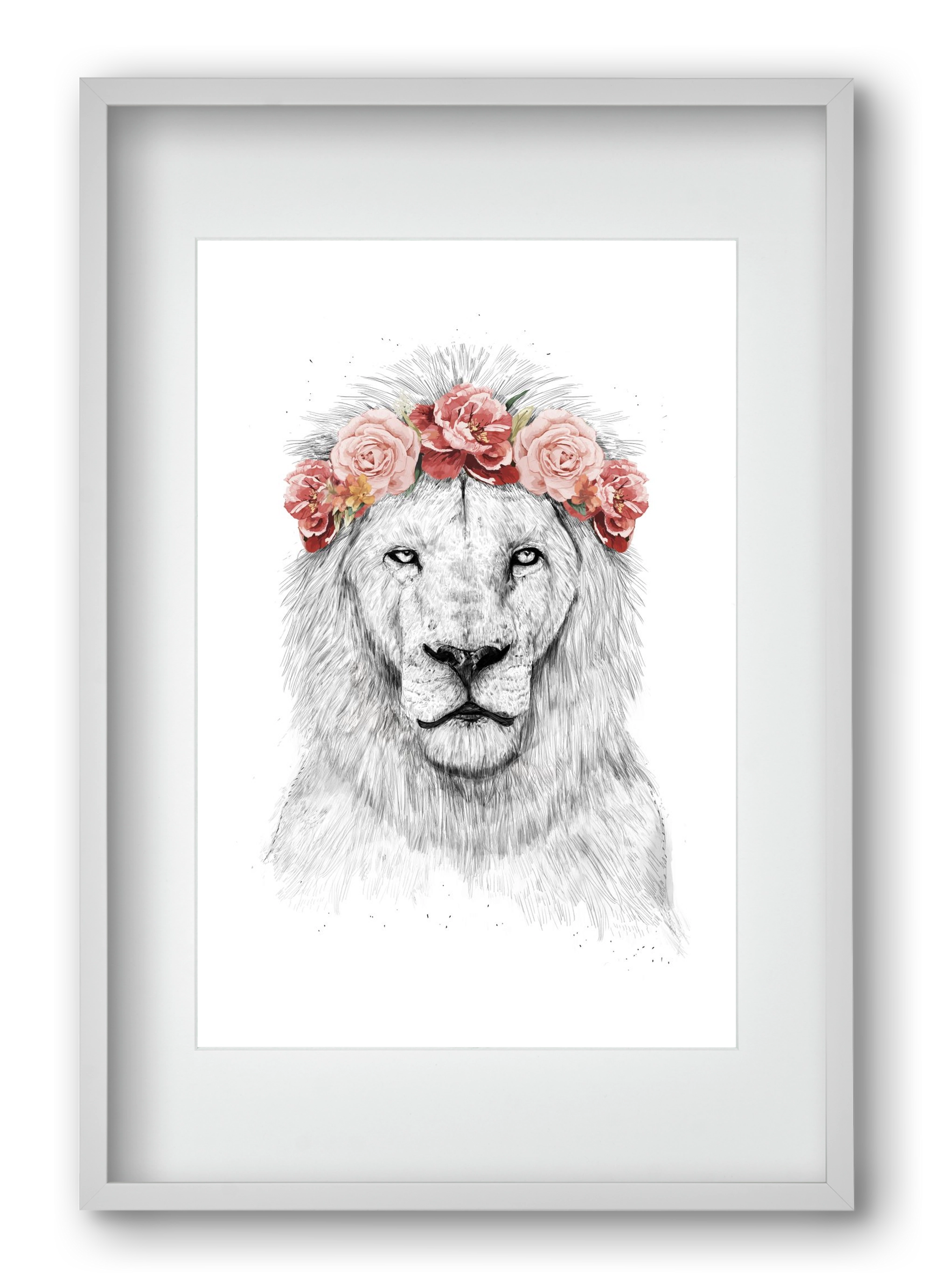 Festival lion, 40x60 cm (30x45 cm), Fehér keret, paszpartuval