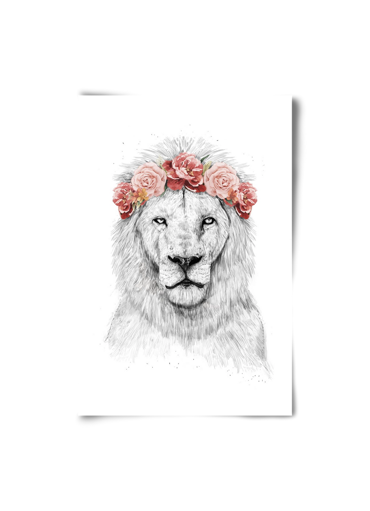 Festival lion, 20x30 cm, Keret nélkül