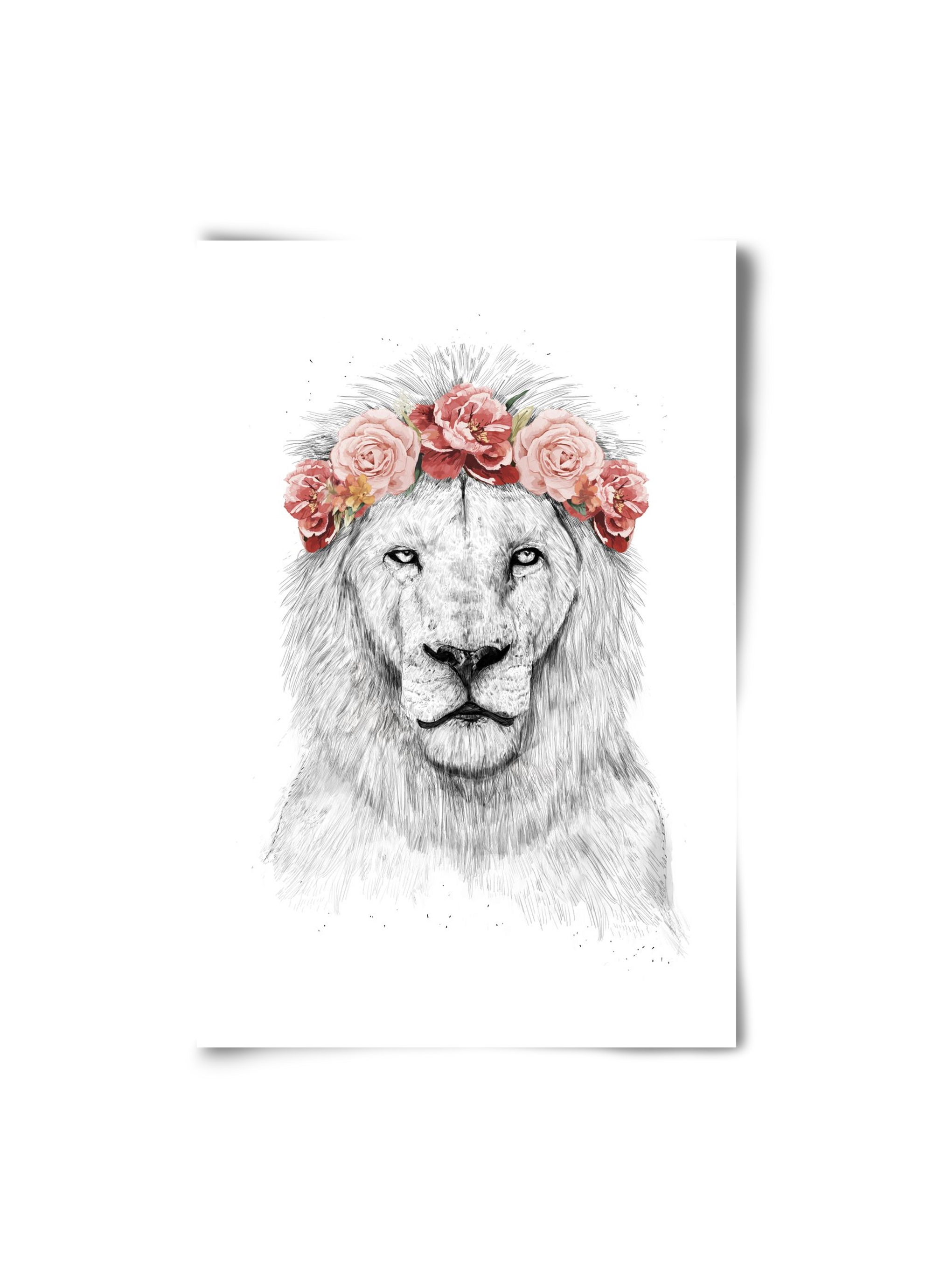 Festival lion, 20x30 cm, Keret nélkül