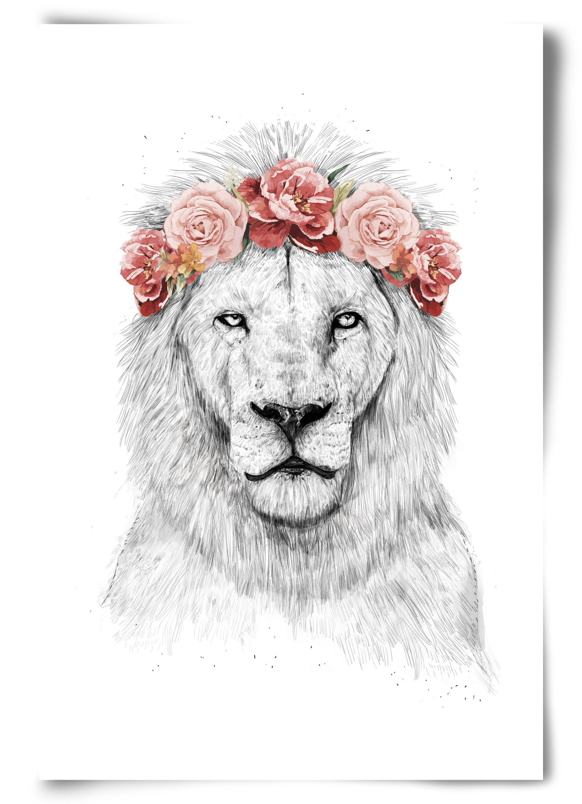 Festival lion, 60x90 cm, Keret nélkül