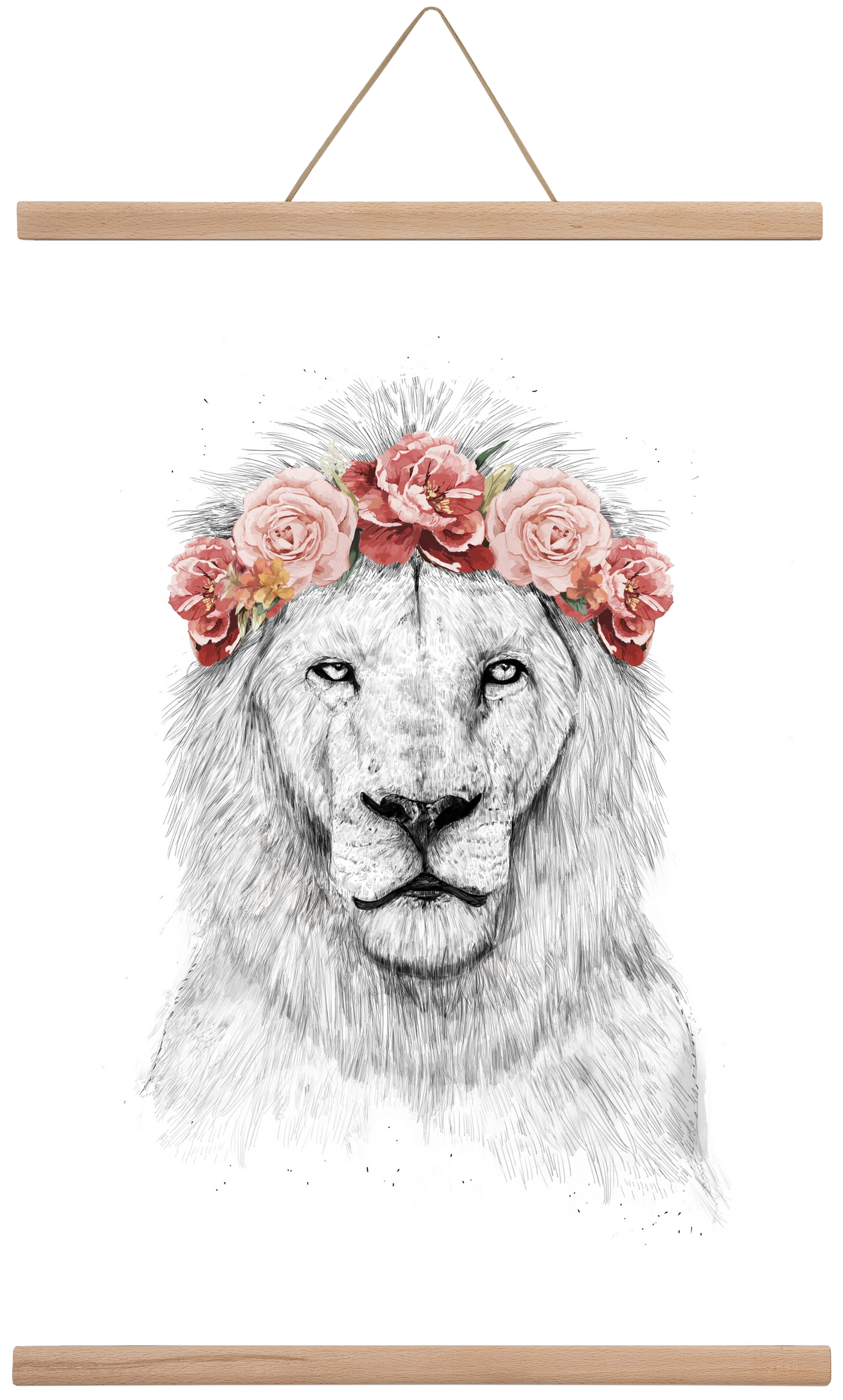 Festival lion, 40x60 cm (40x60 cm), Tölgy akasztó