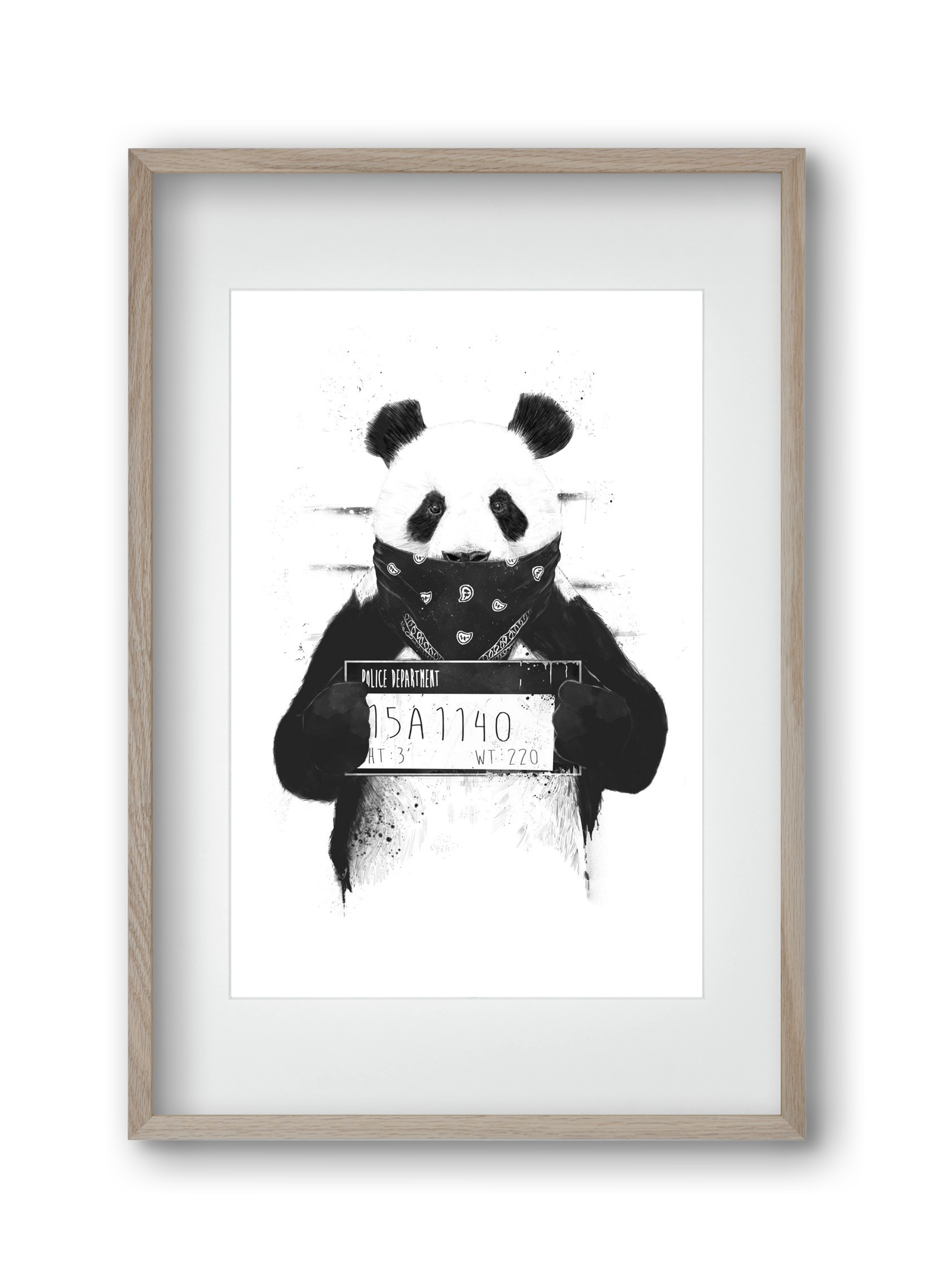 Bad panda, 30x45 cm (20x30 cm), Tölgy keret, paszpartuval