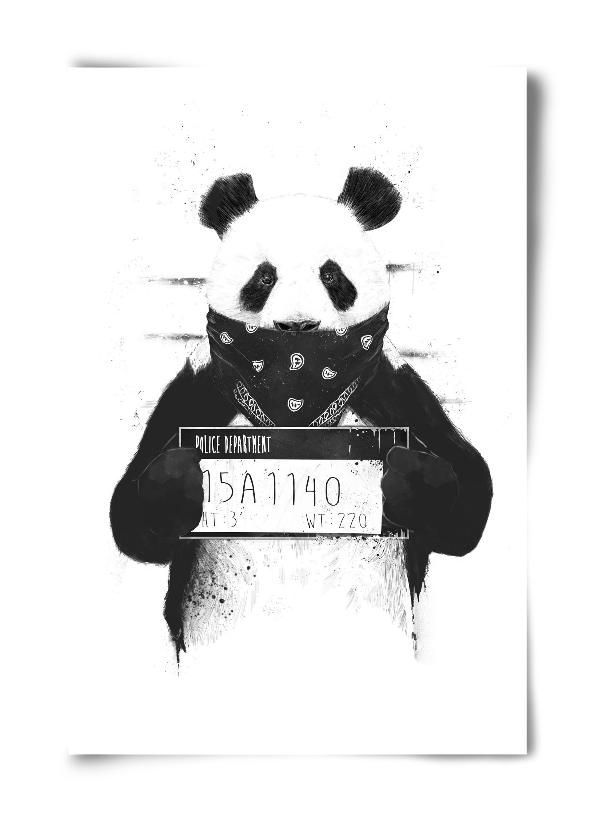 Bad panda, 40x60 cm, Keret nélkül