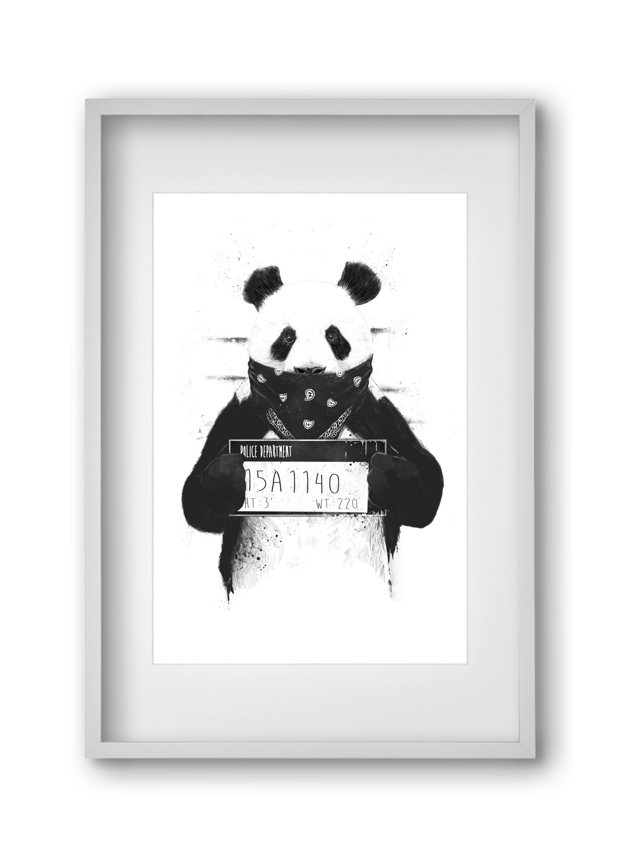 Bad panda, 30x45 cm (20x30 cm), Fehér keret, paszpartuval