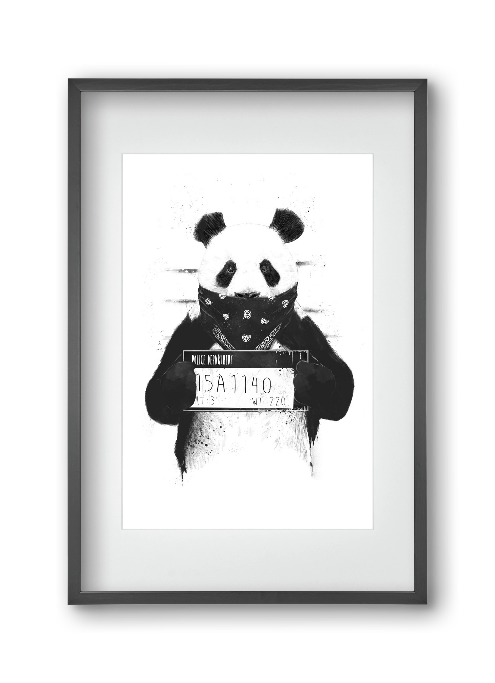 Bad panda, 30x45 cm (20x30 cm), Fekete keret, paszpartuval