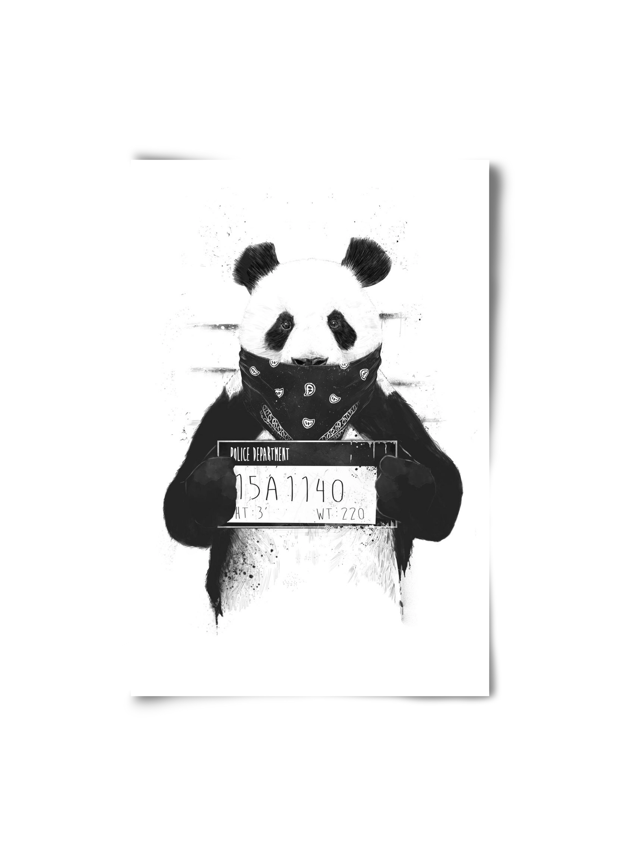 Bad panda, 20x30 cm, Keret nélkül