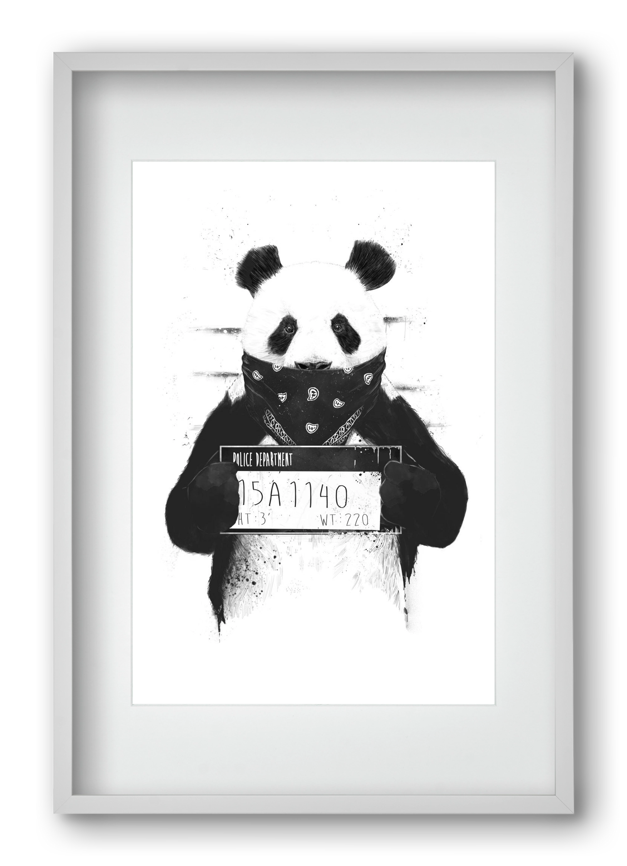 Bad panda, 40x60 cm (30x45 cm), Fehér keret, paszpartuval