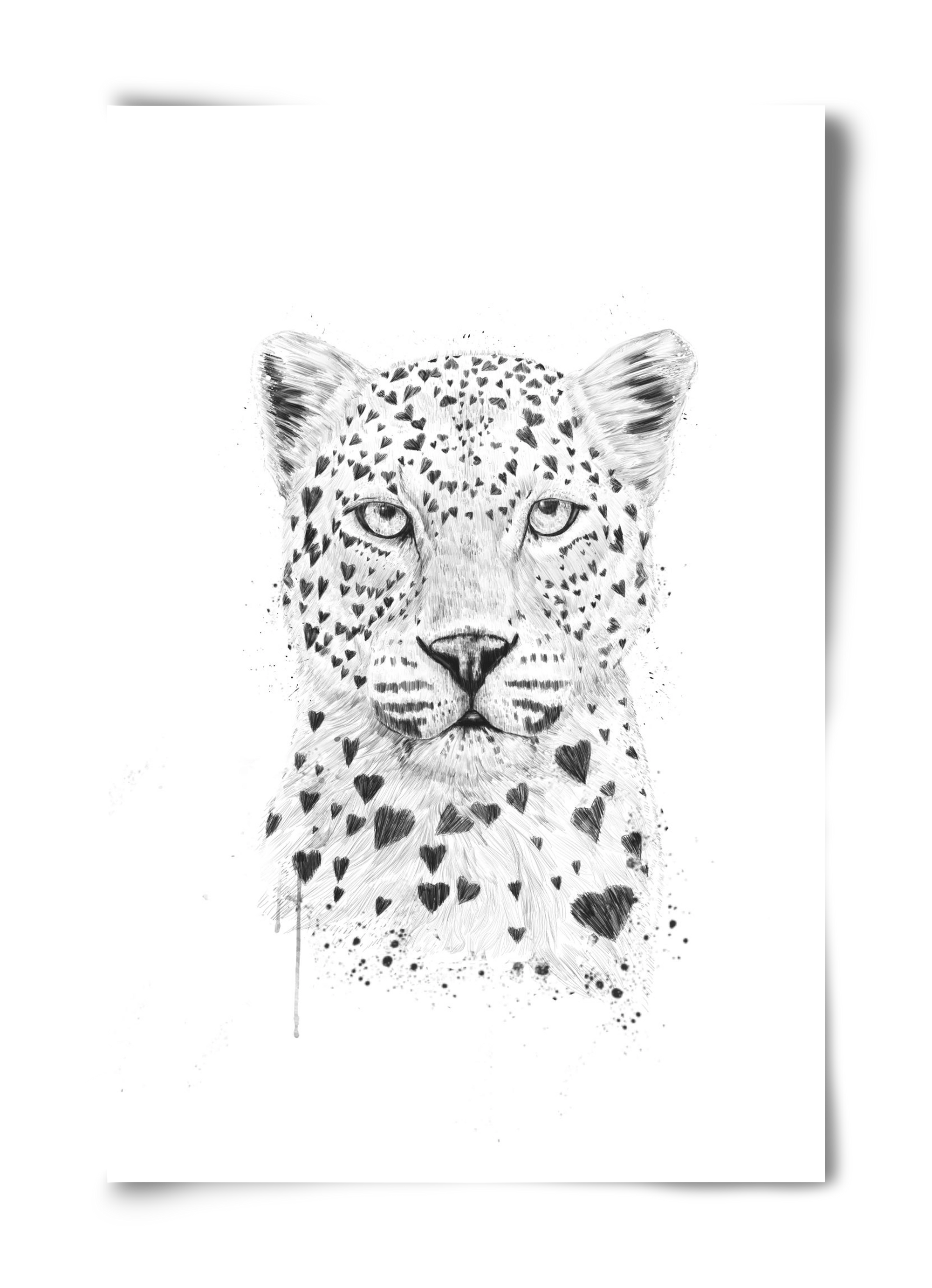 Lovely leopard, 40x60 cm, Keret nélkül