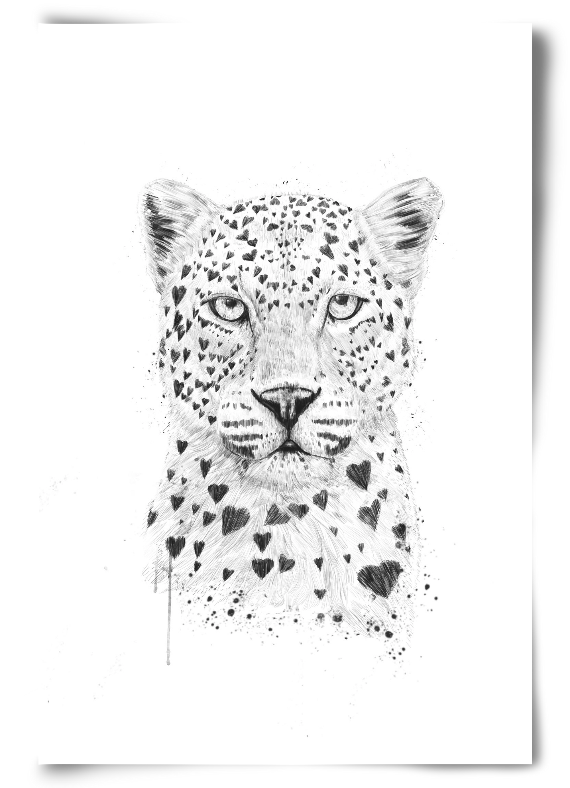 Lovely leopard, 60x90 cm, Keret nélkül