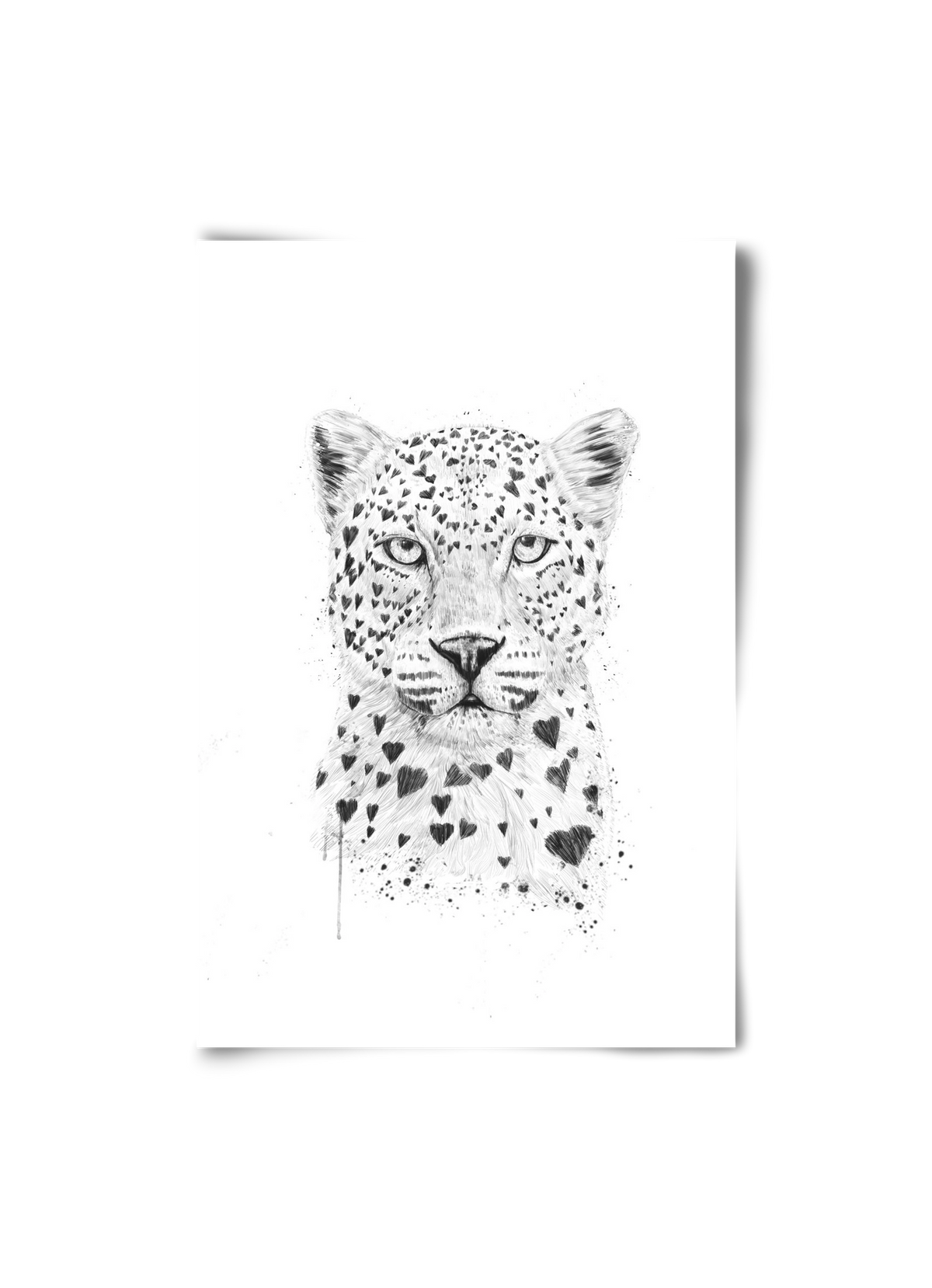 Lovely leopard, 20x30 cm, Keret nélkül