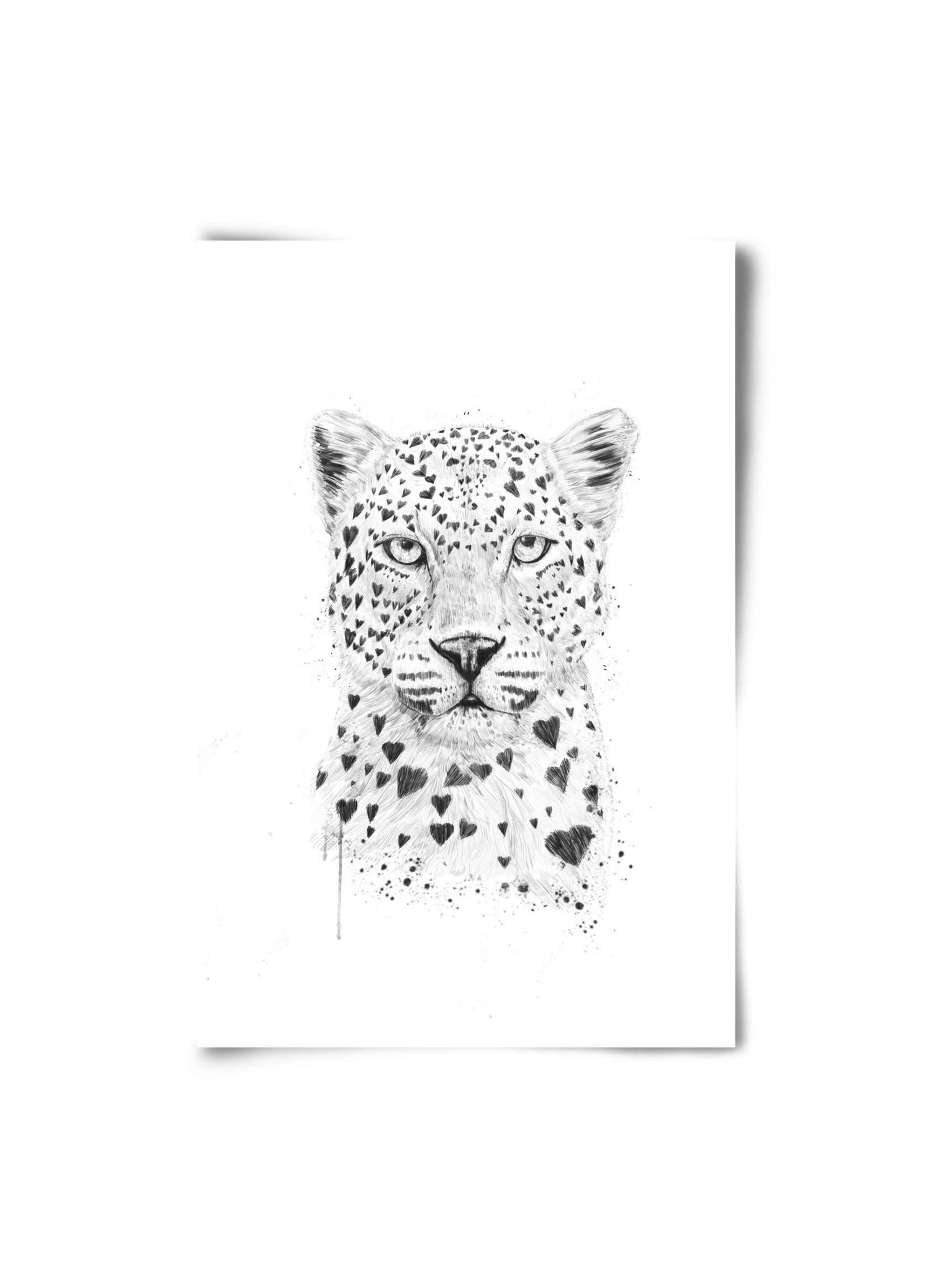 Lovely leopard, 20x30 cm, Keret nélkül