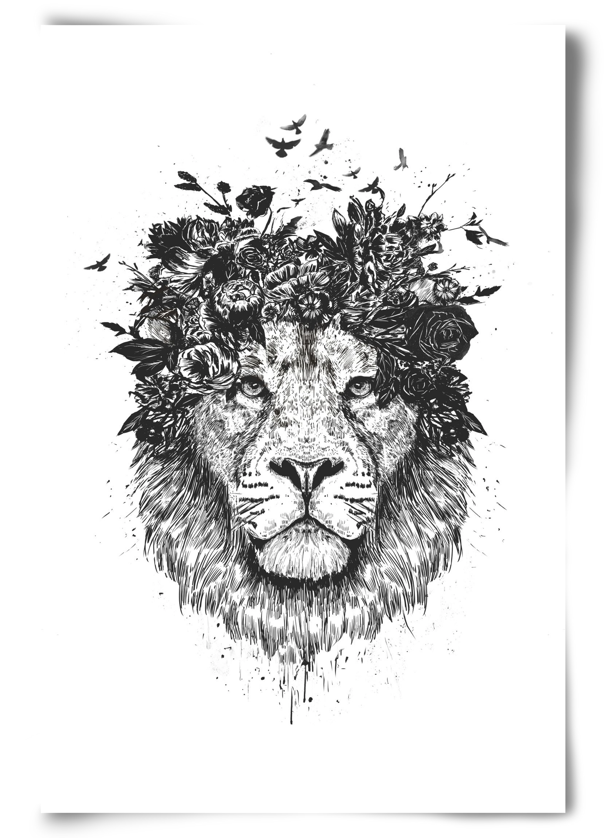Floral lion (bw), 60x90 cm, Keret nélkül