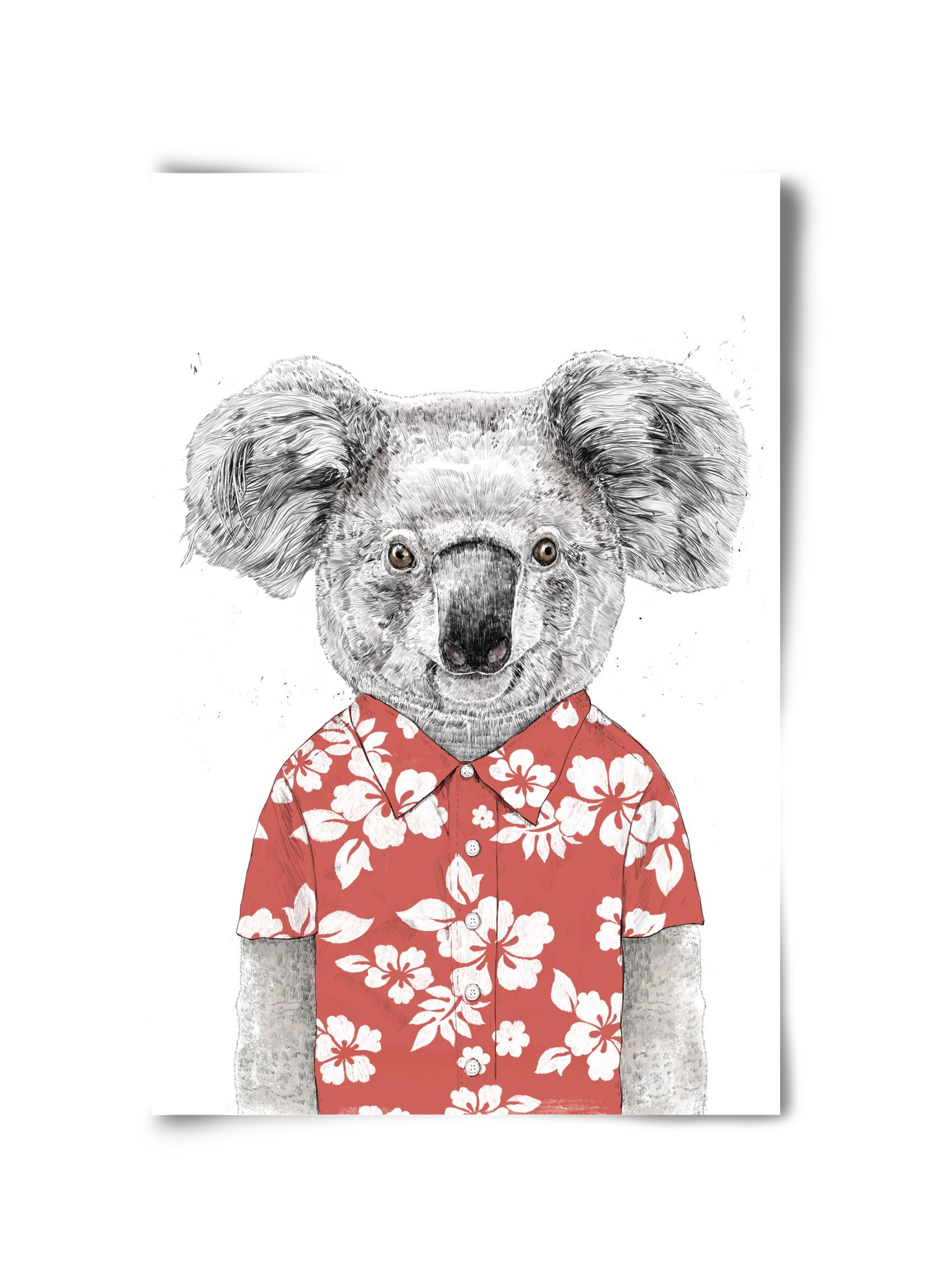 Summer koala (red), 30x45 cm, Keret nélkül