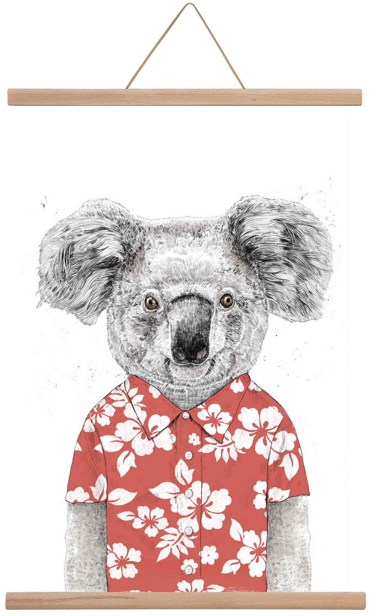 Summer koala (red), 40x60 cm (40x60 cm), Tölgy akasztó
