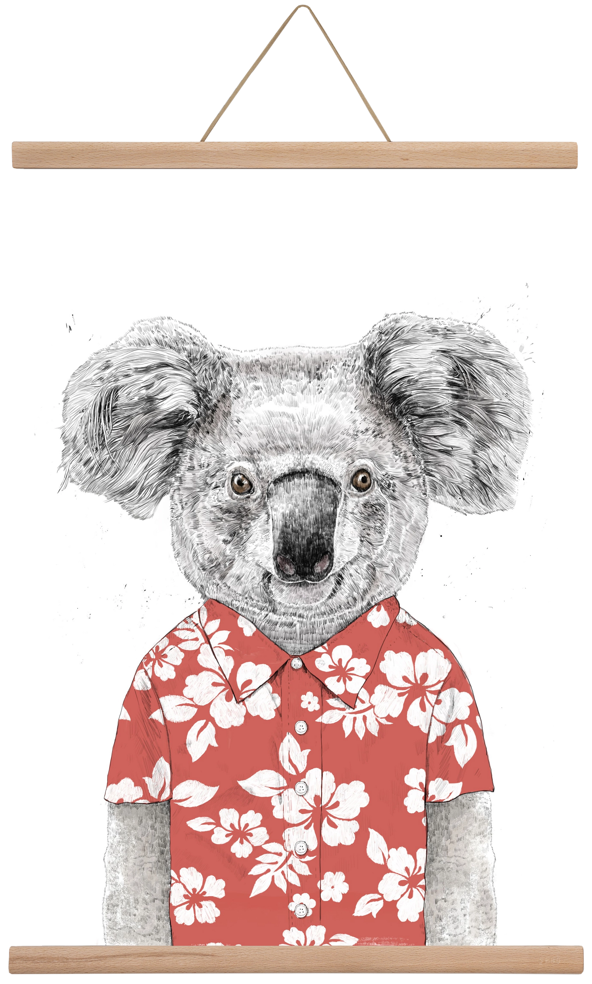 Summer koala (red), 40x60 cm (40x60 cm), Tölgy akasztó