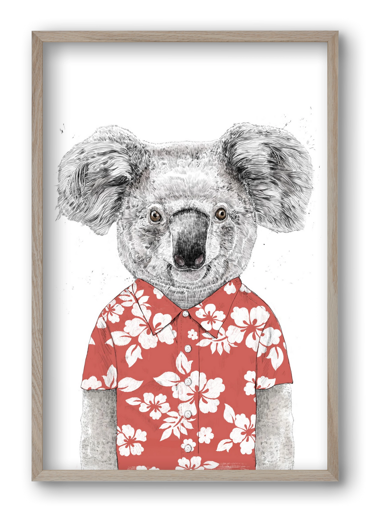 Summer koala (red), 40x60 cm (40x60 cm), Tölgy keret
