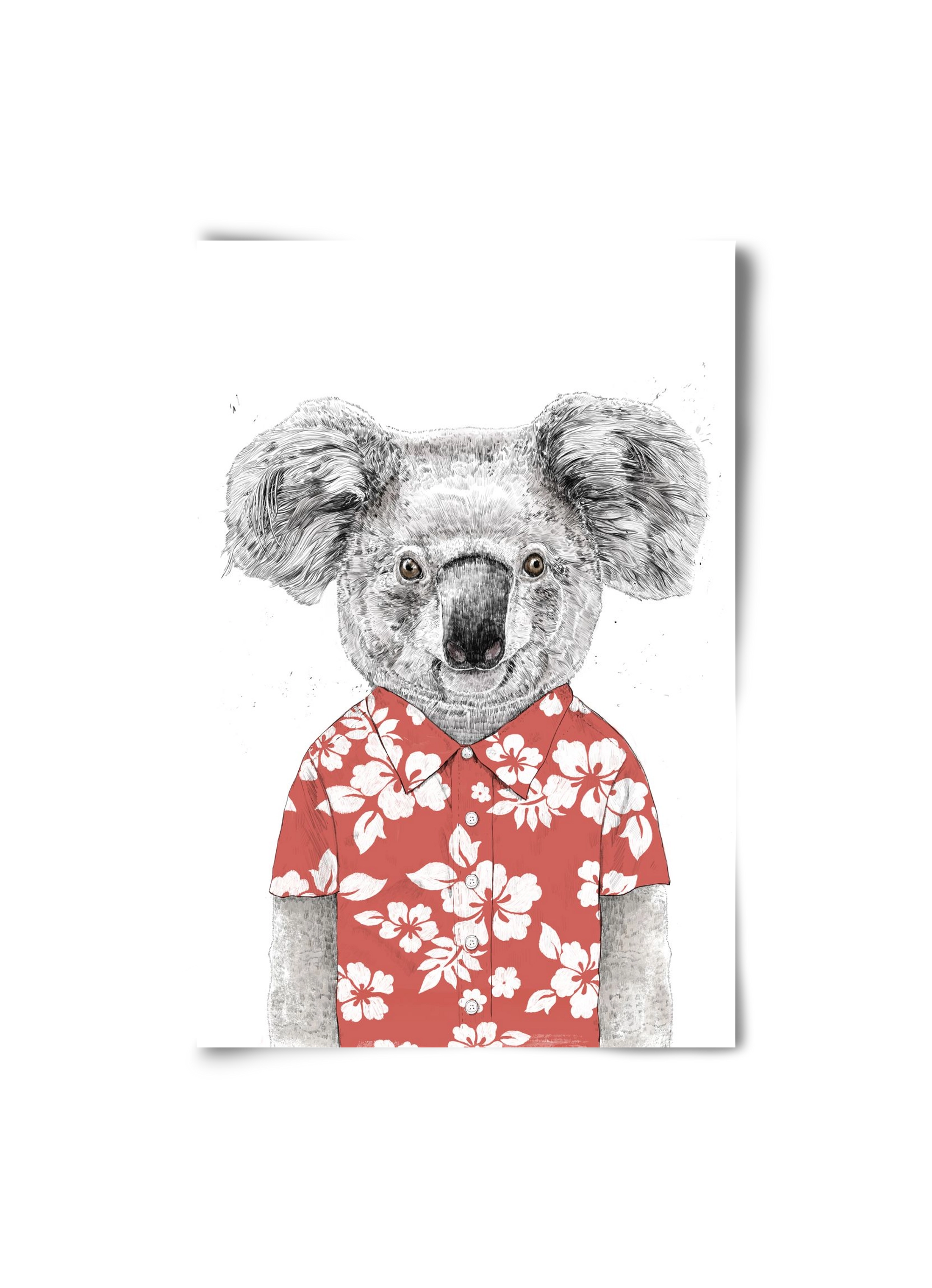 Summer koala (red), 20x30 cm, Keret nélkül