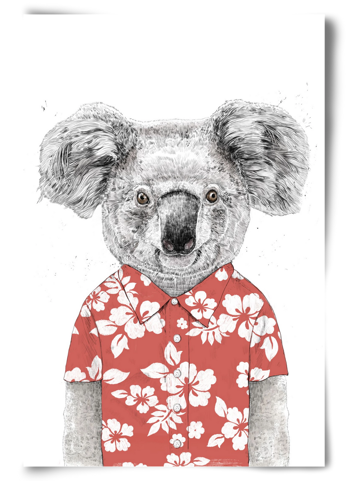 Summer koala (red), 60x90 cm, Keret nélkül